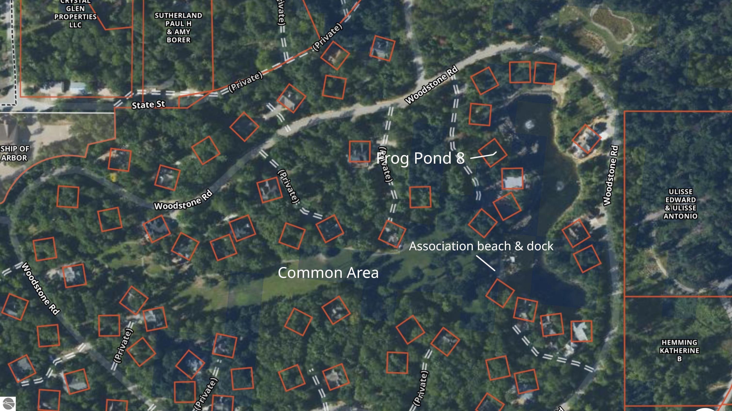 8 Frog Pond