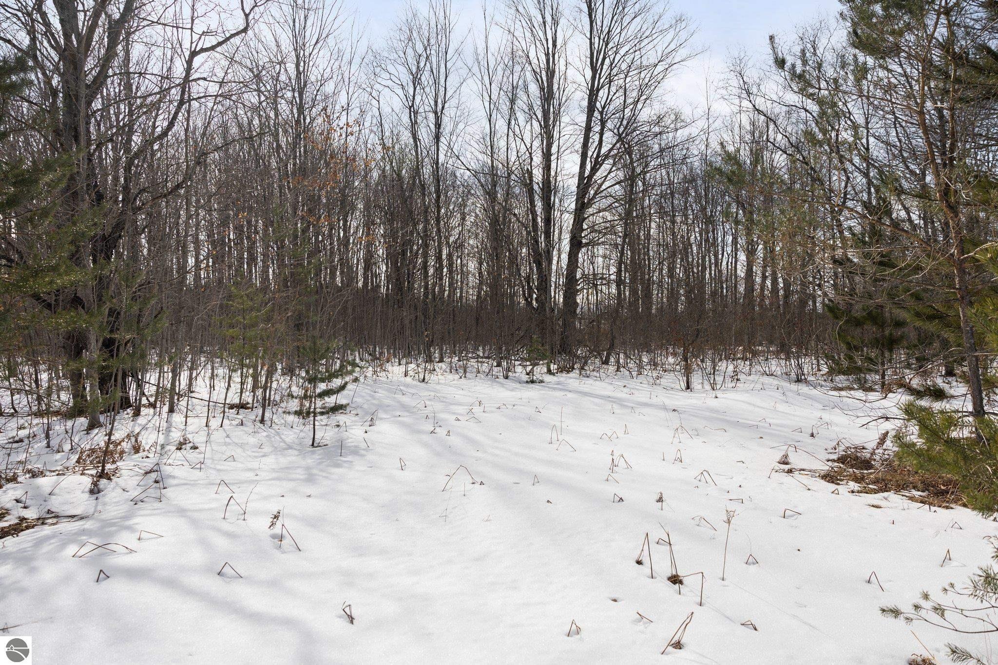 8281 NE North Country Road