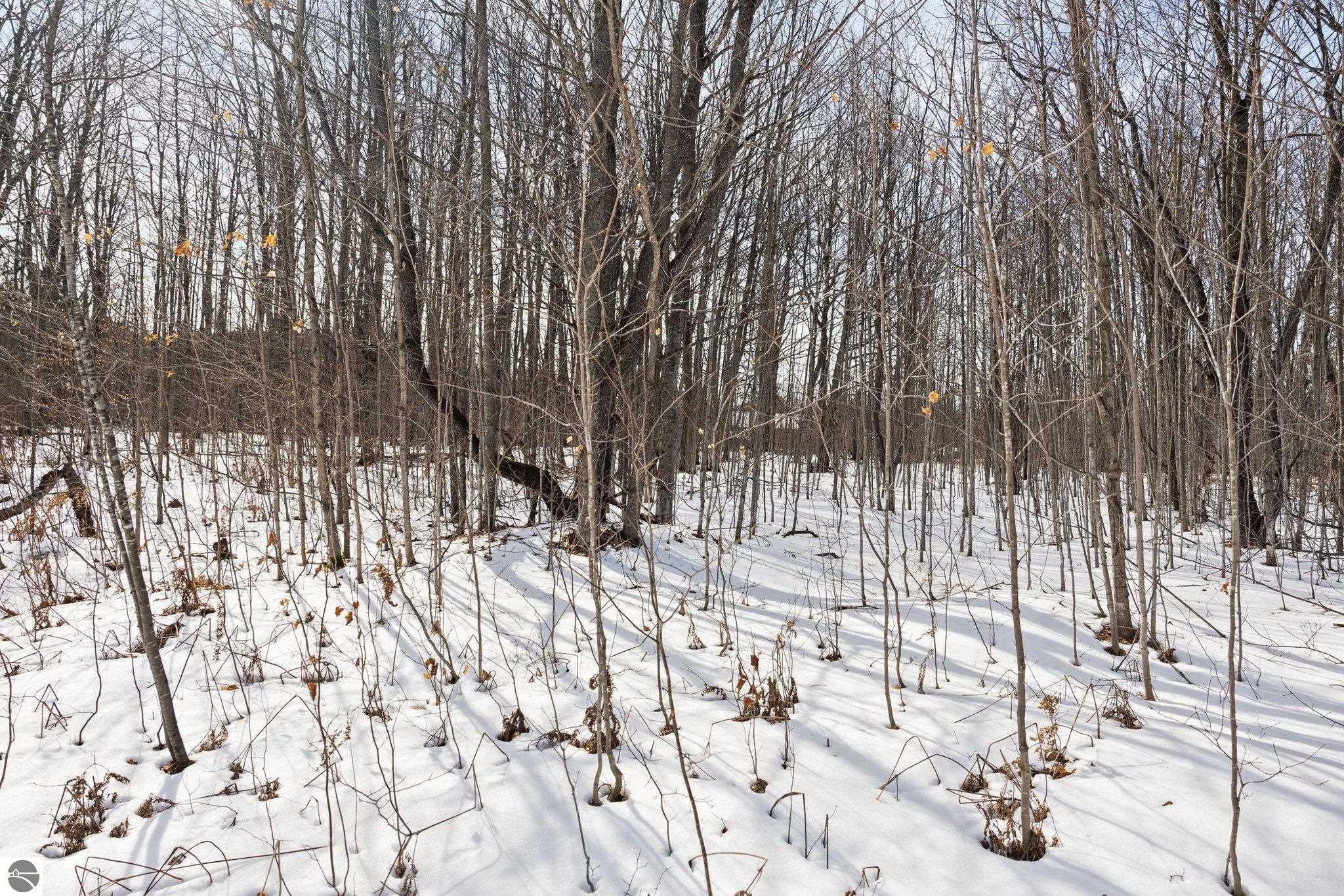 8281 NE North Country Road