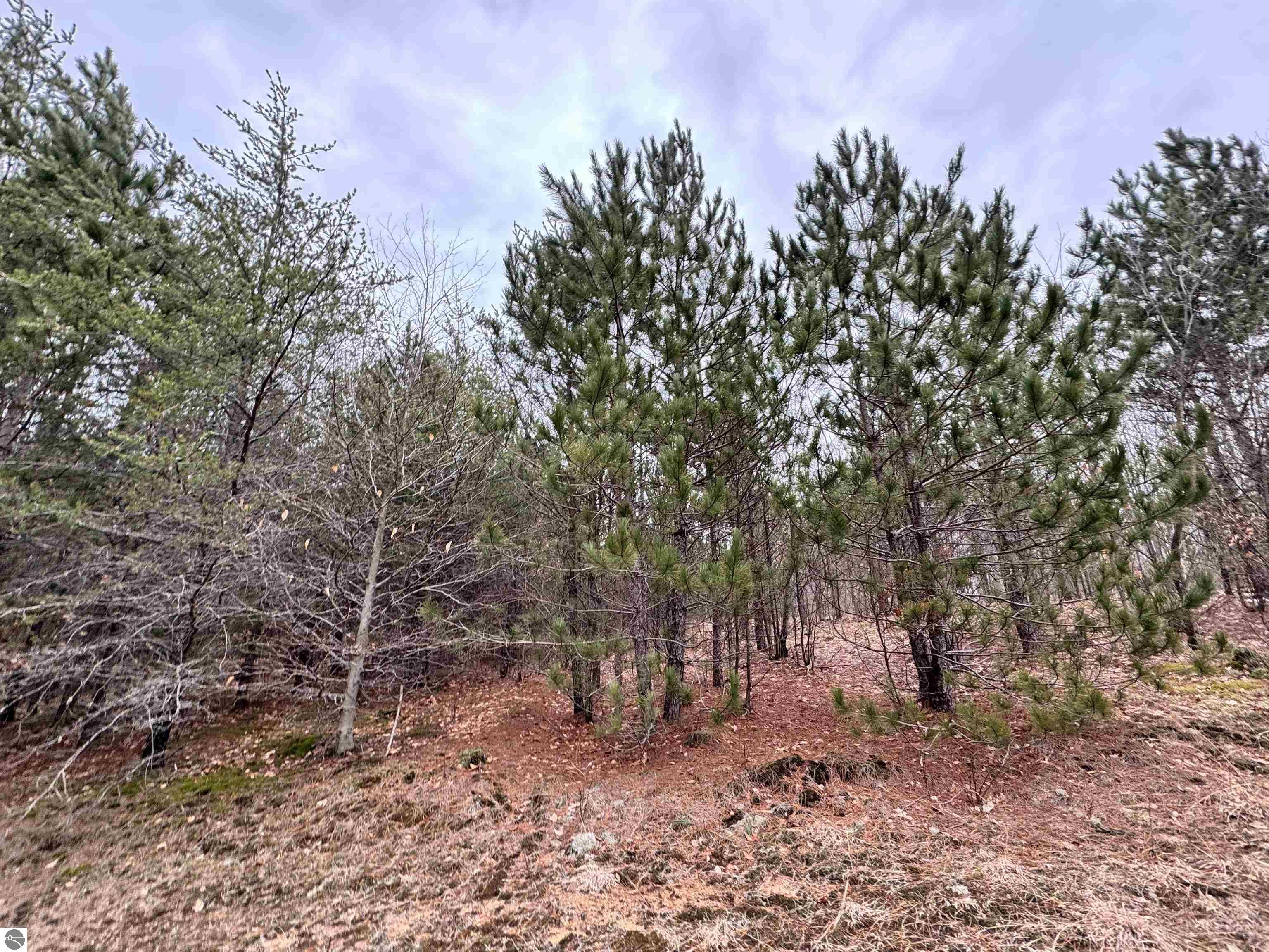 652 Phelps Road