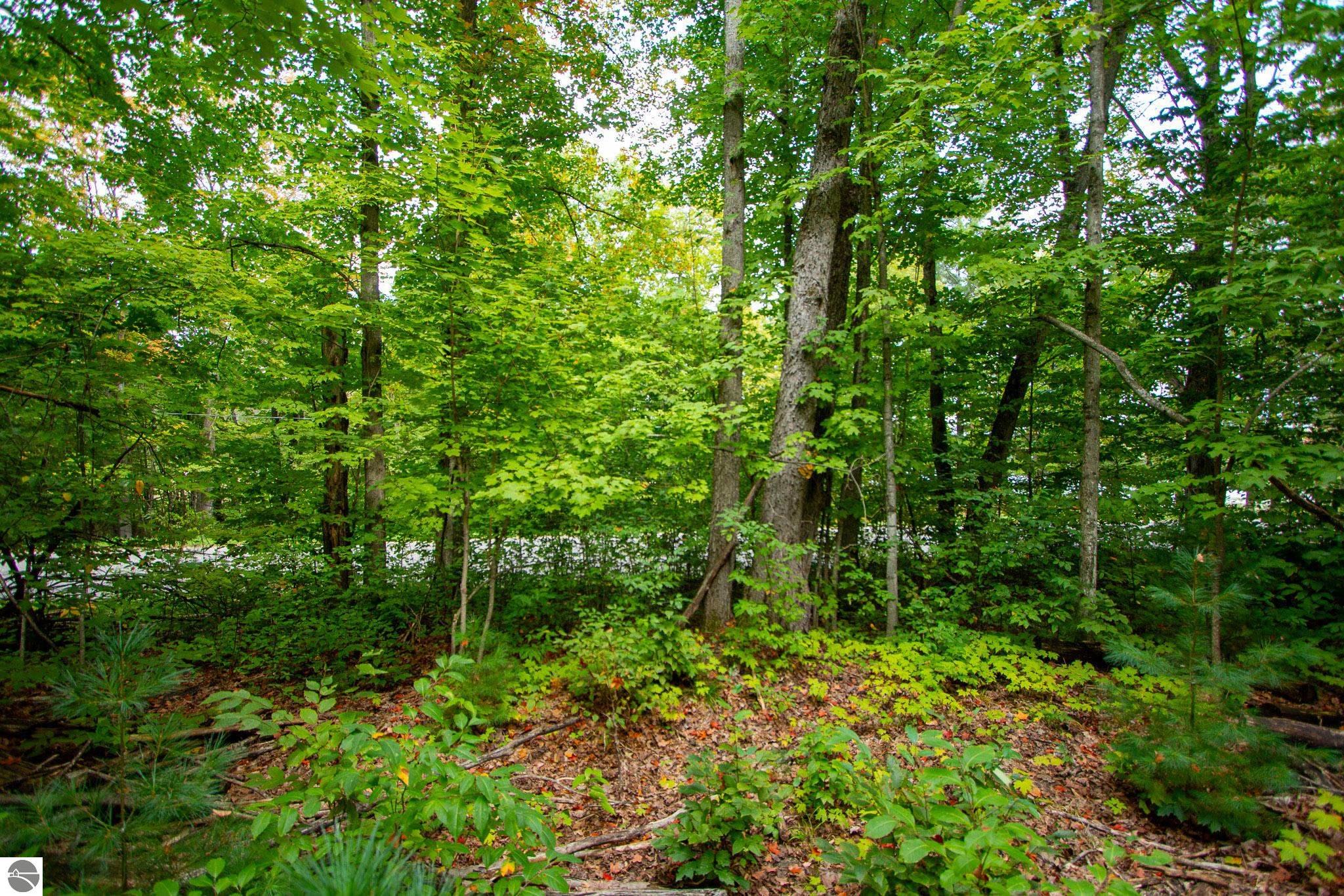 11606 Twin Lake Road, NE