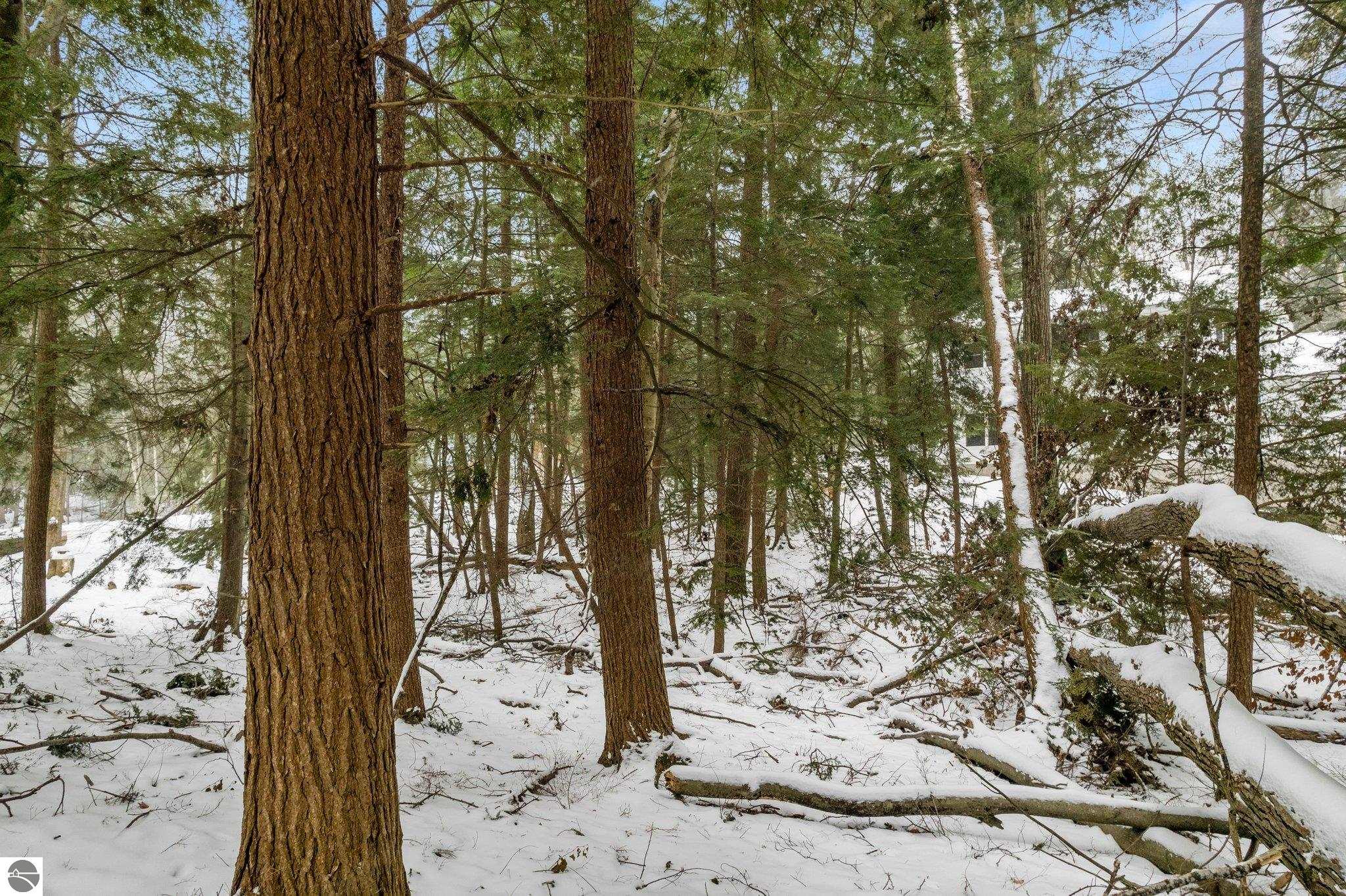 Lot 134 N Cherrywood Court