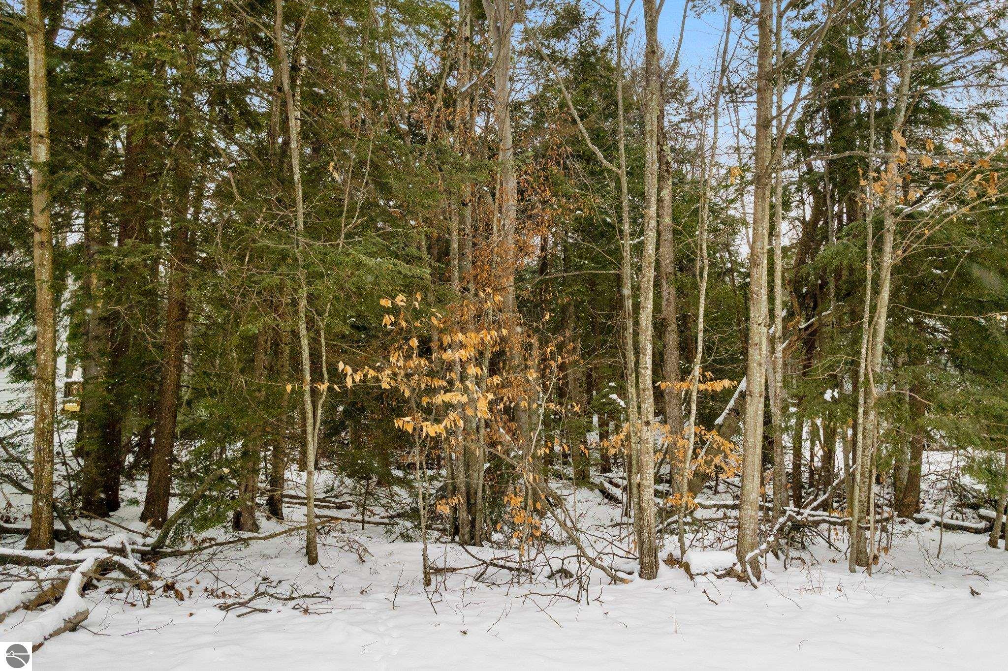 Lot 134 N Cherrywood Court