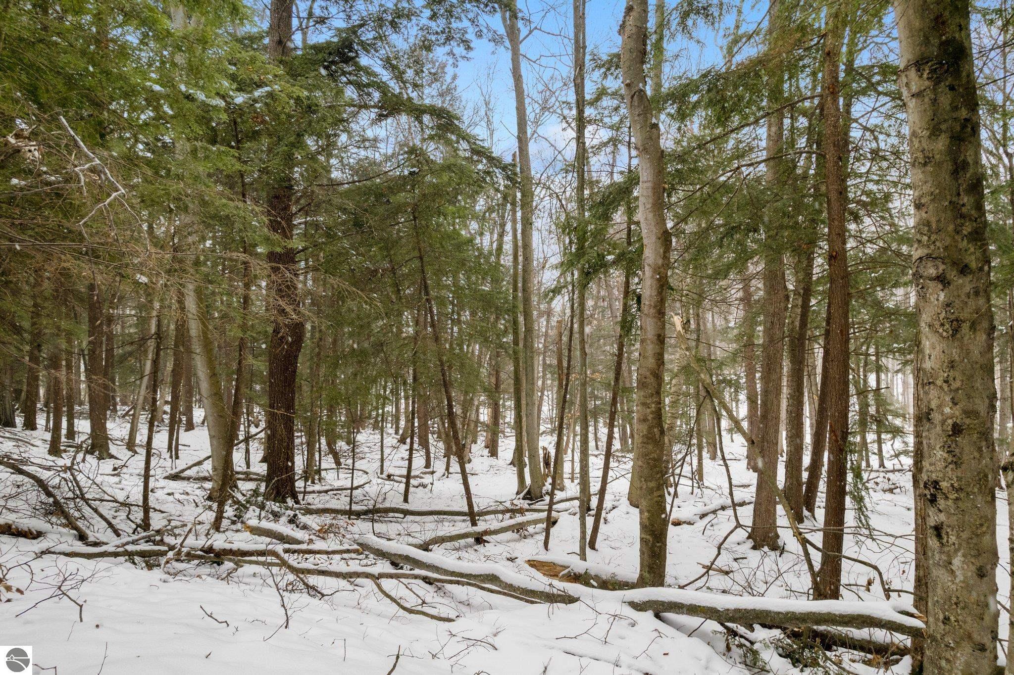 Lot 134 N Cherrywood Court