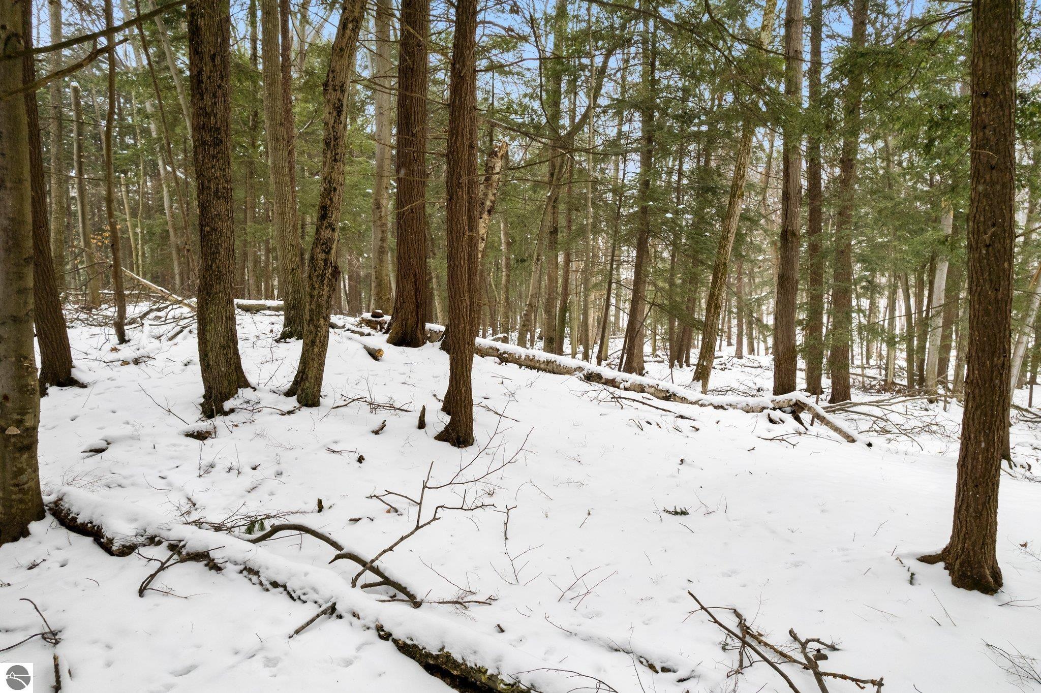 Lot 134 N Cherrywood Court