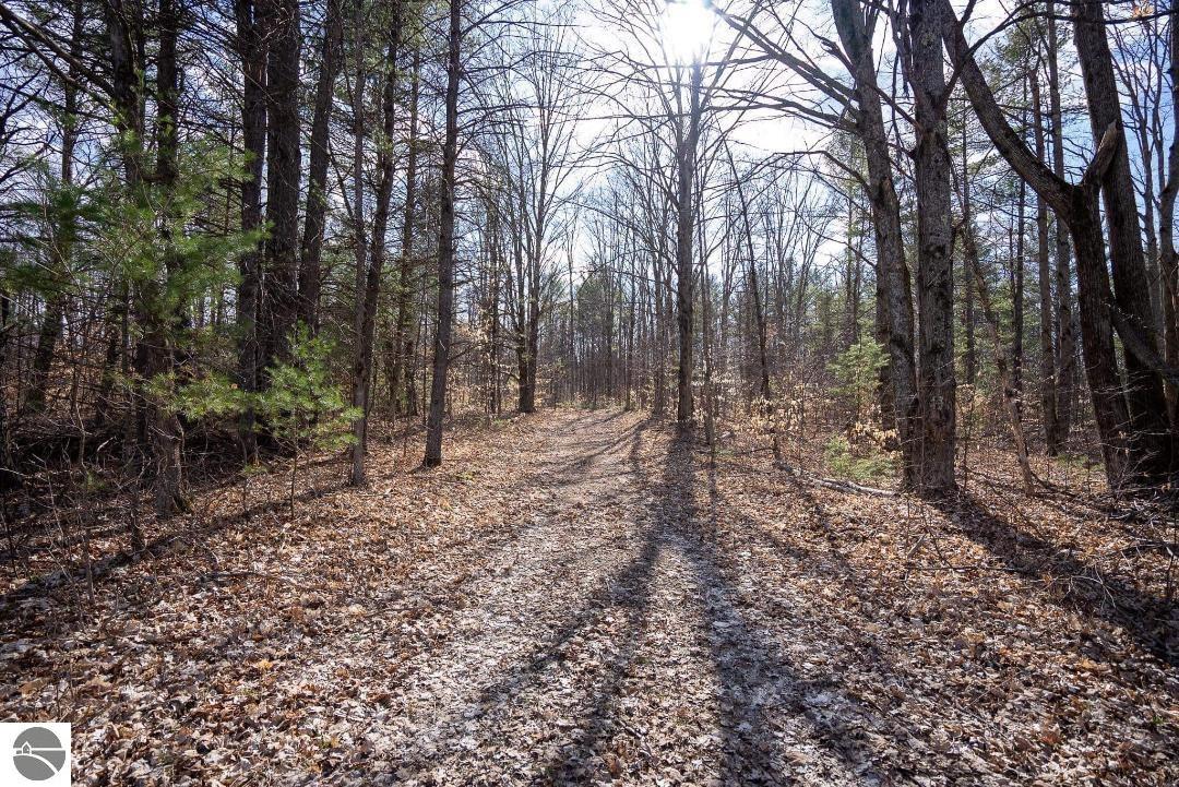 Off Brown Fire Lane