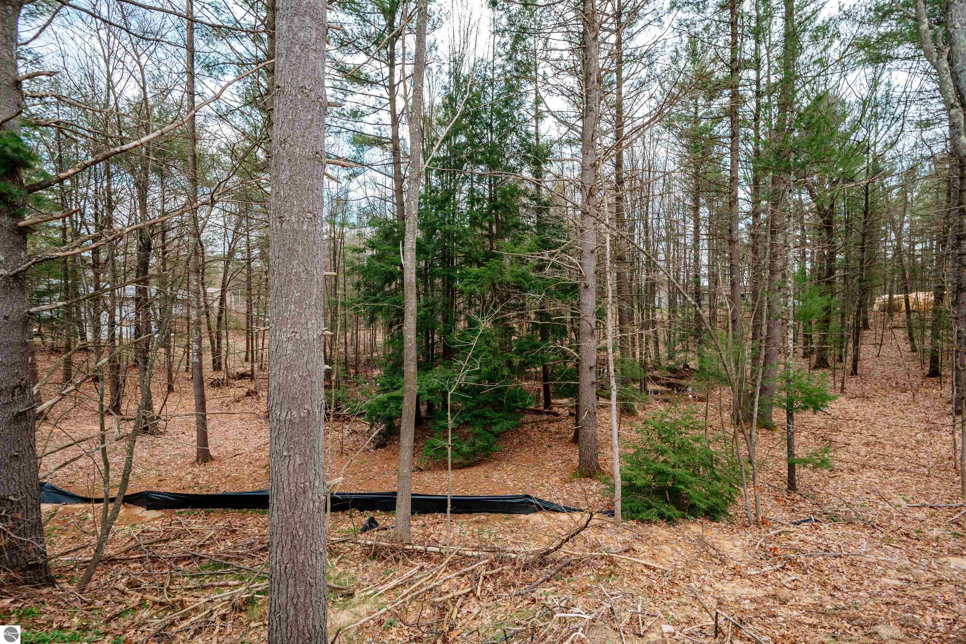 9778 Deer Track Court # 4