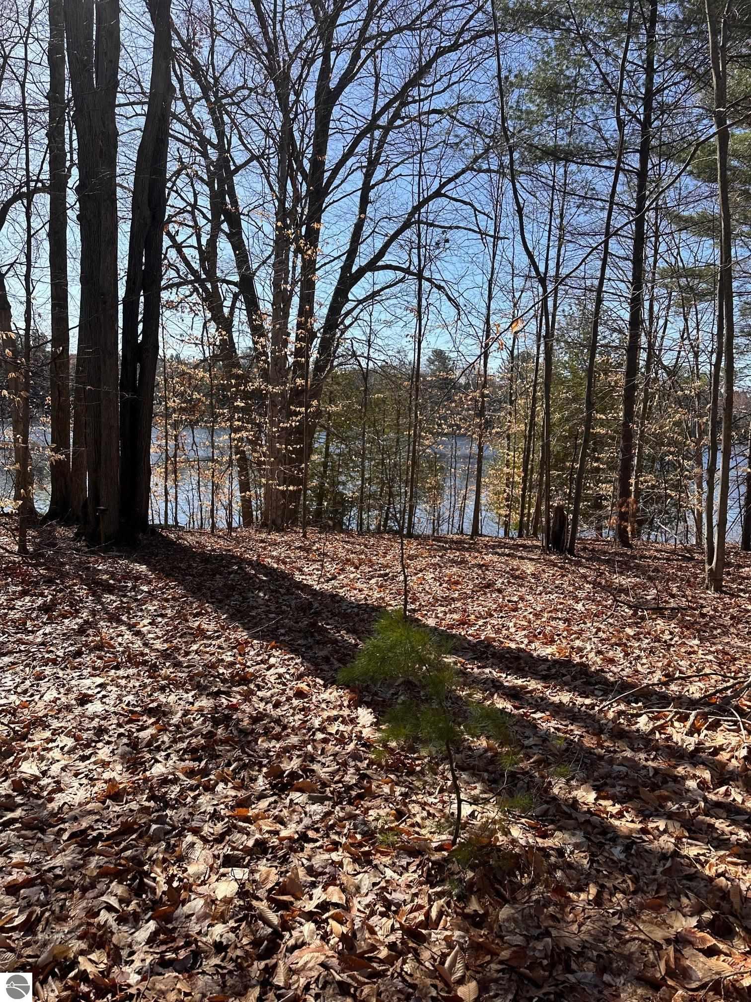 00 Ginafred Shores Drive