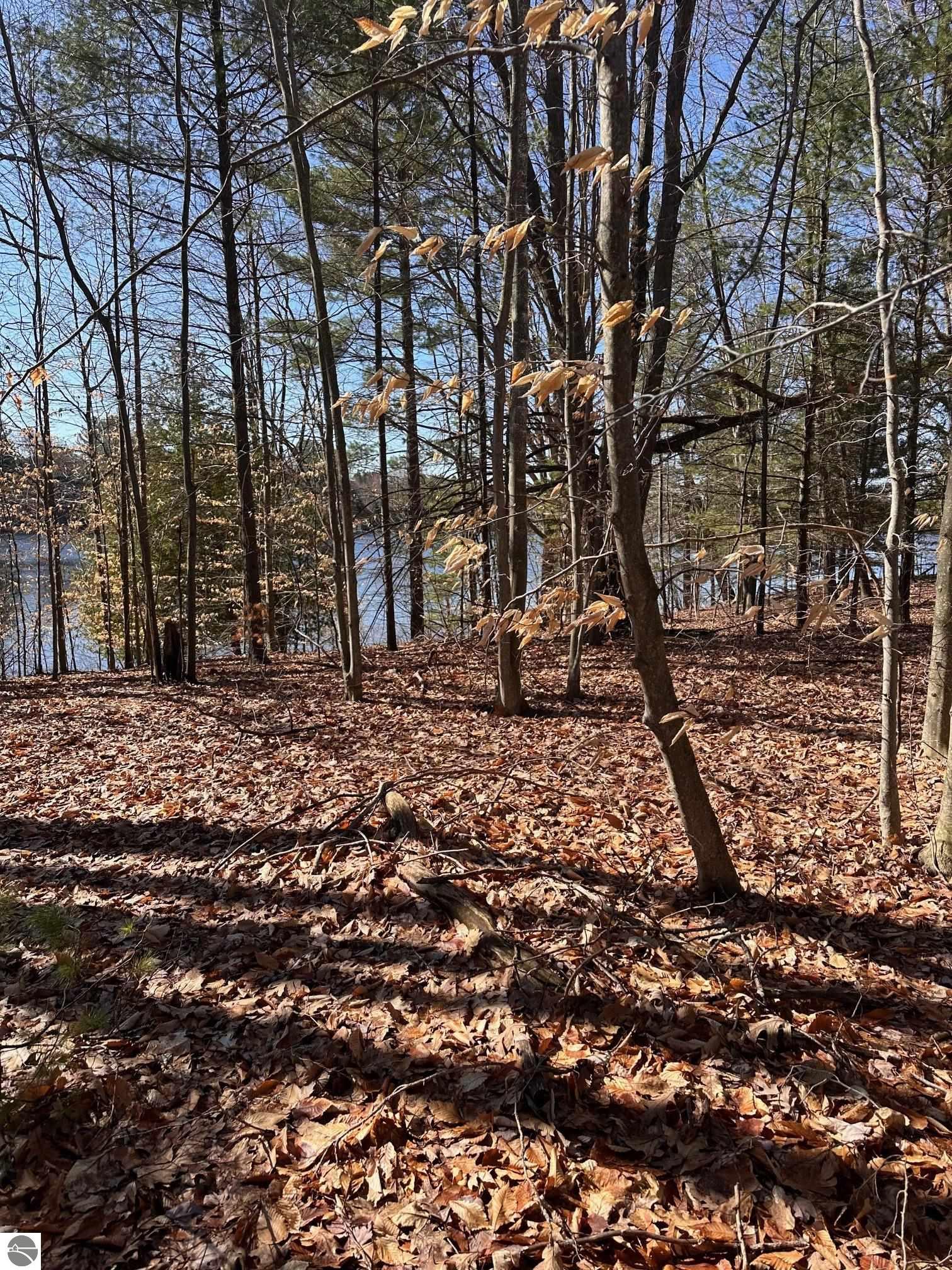 00 Ginafred Shores Drive