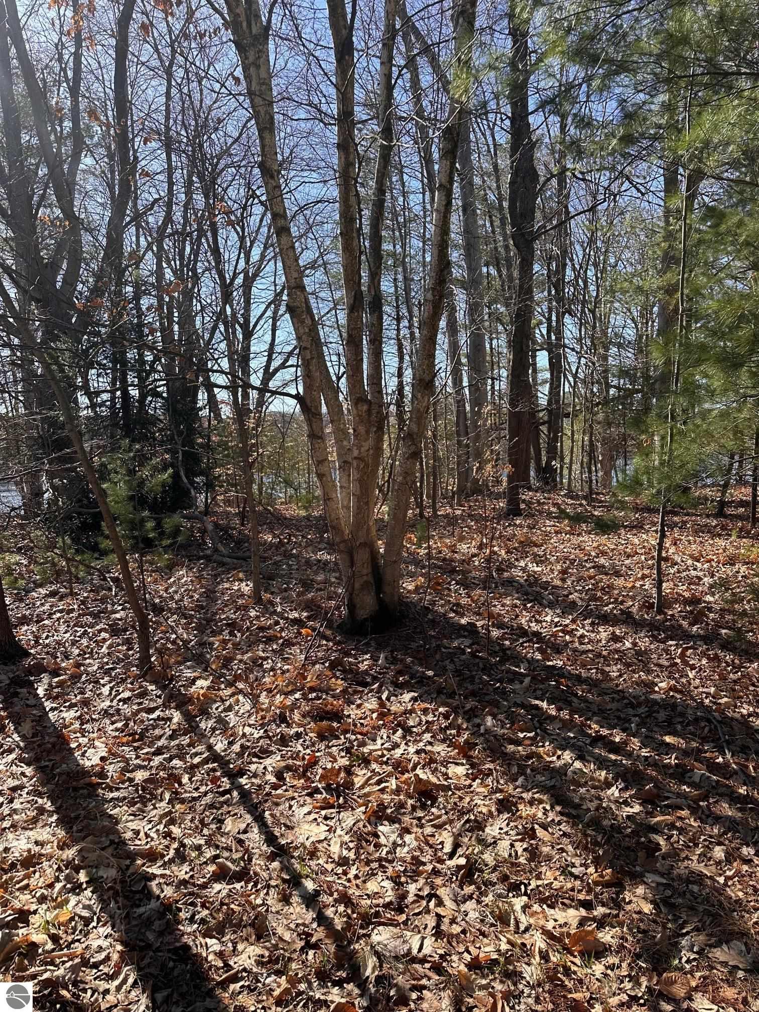 00 Ginafred Shores Drive
