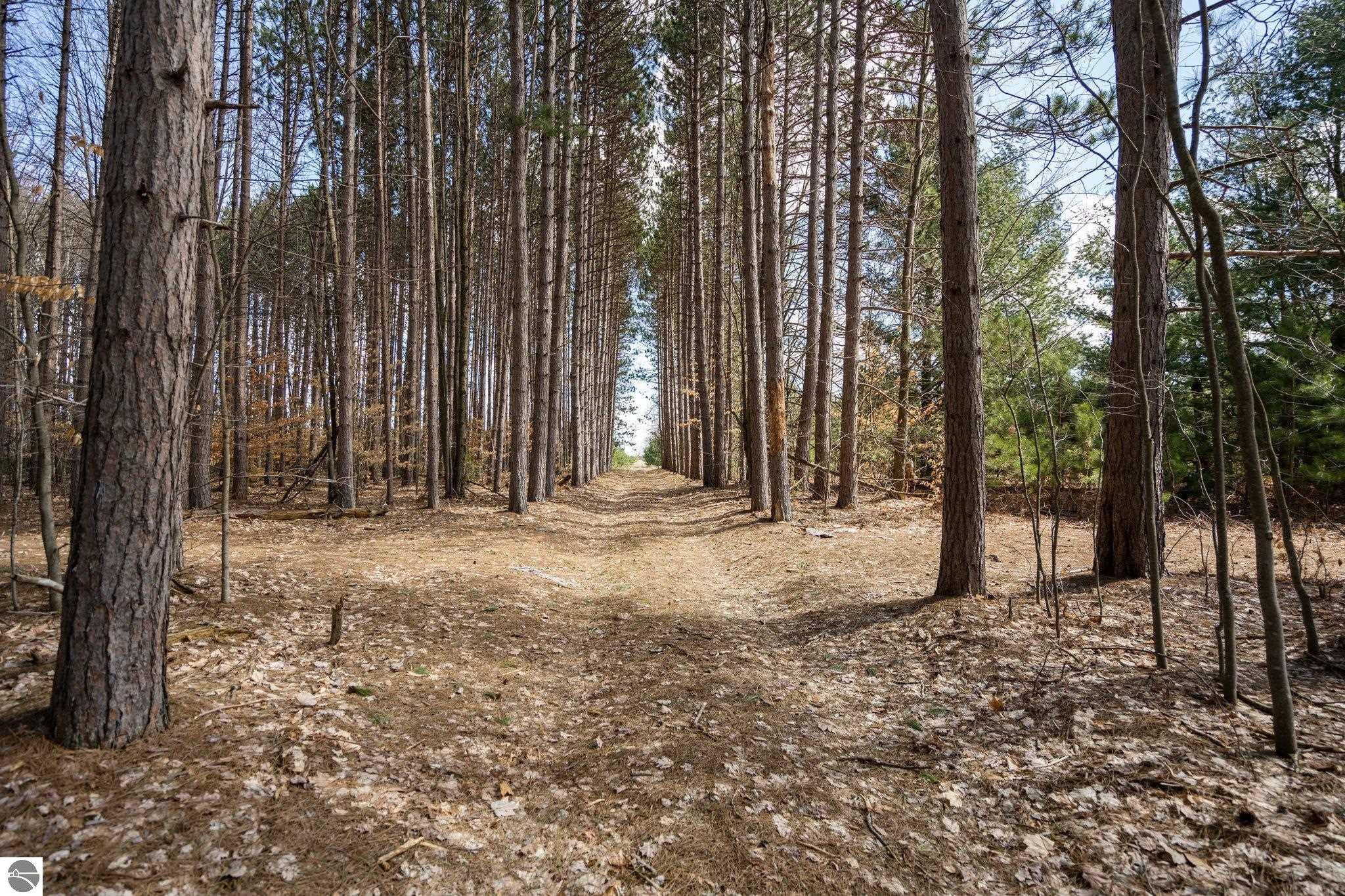 00 Golden Road, SE