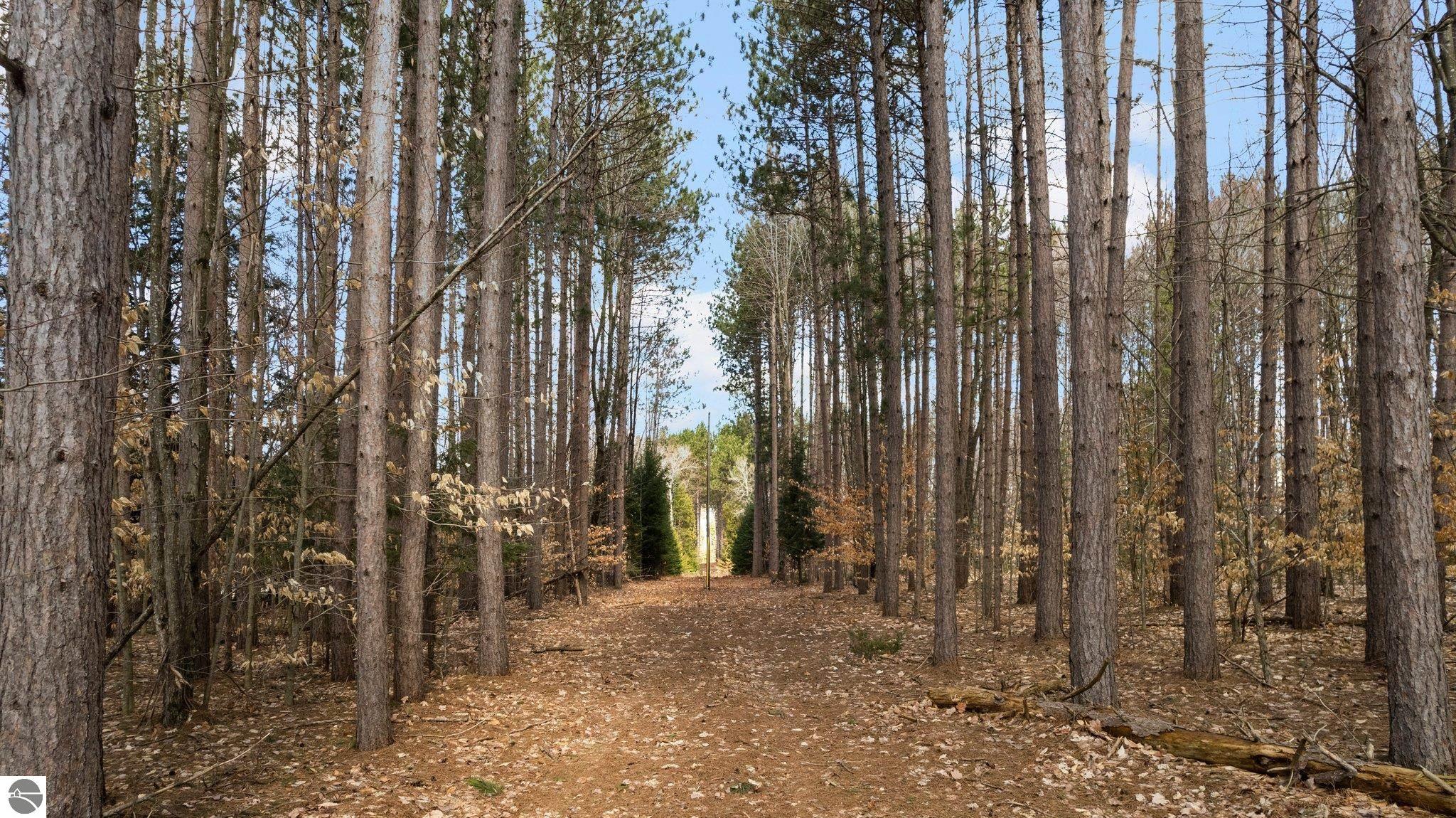 00 Golden Road, SE