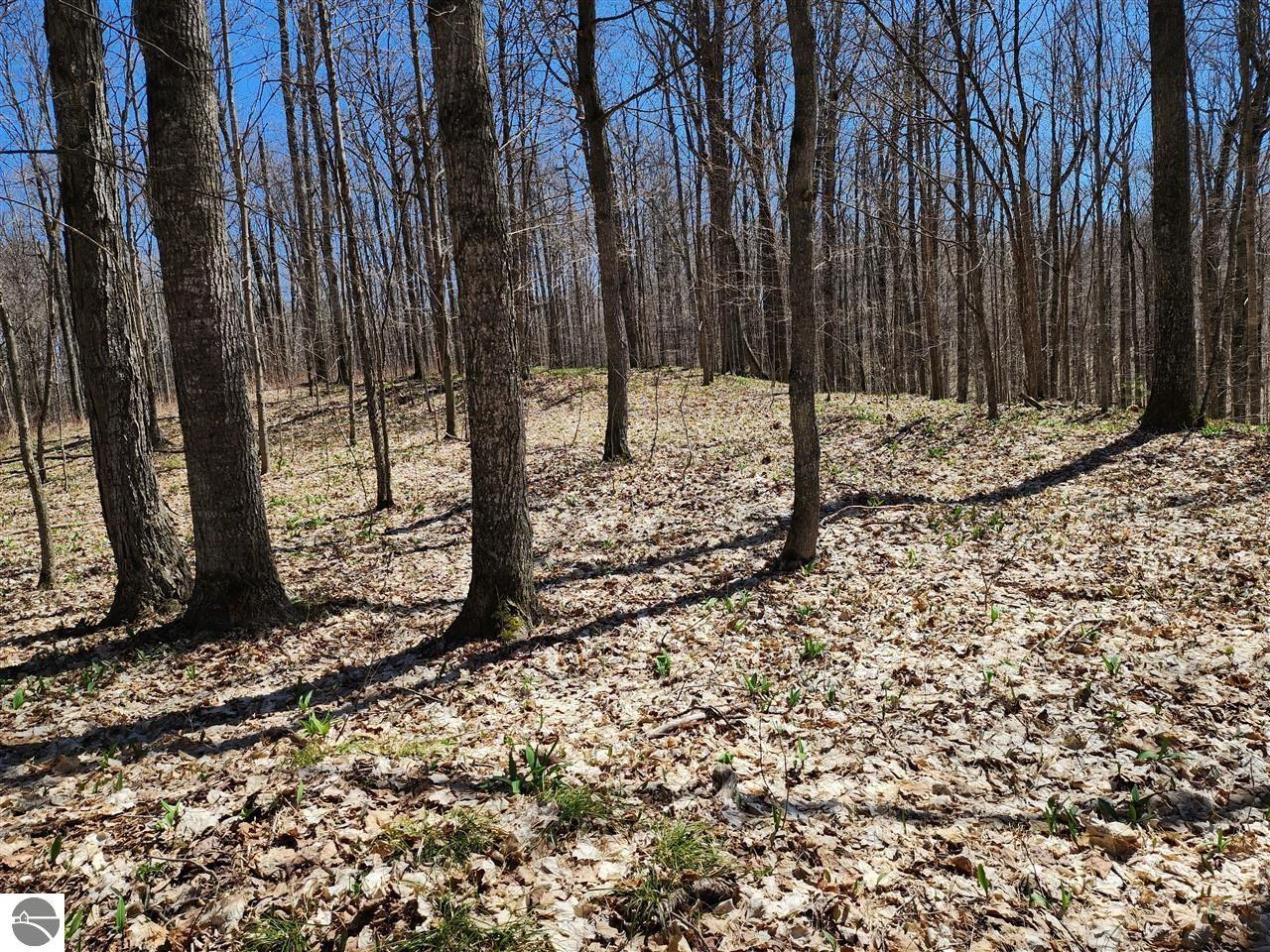 Unit 34 Goshawk Ridge