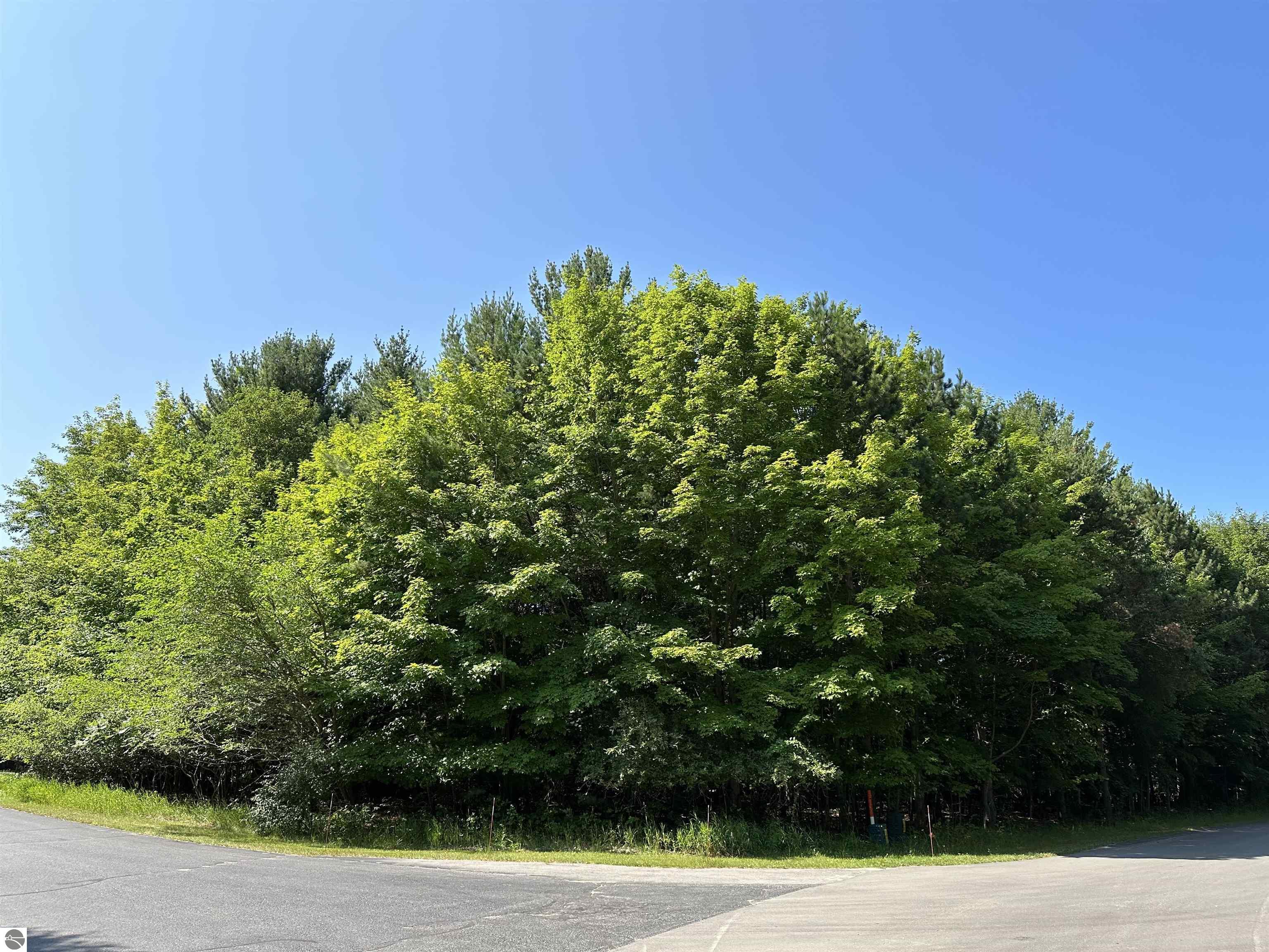 Lot 32 Rose Court