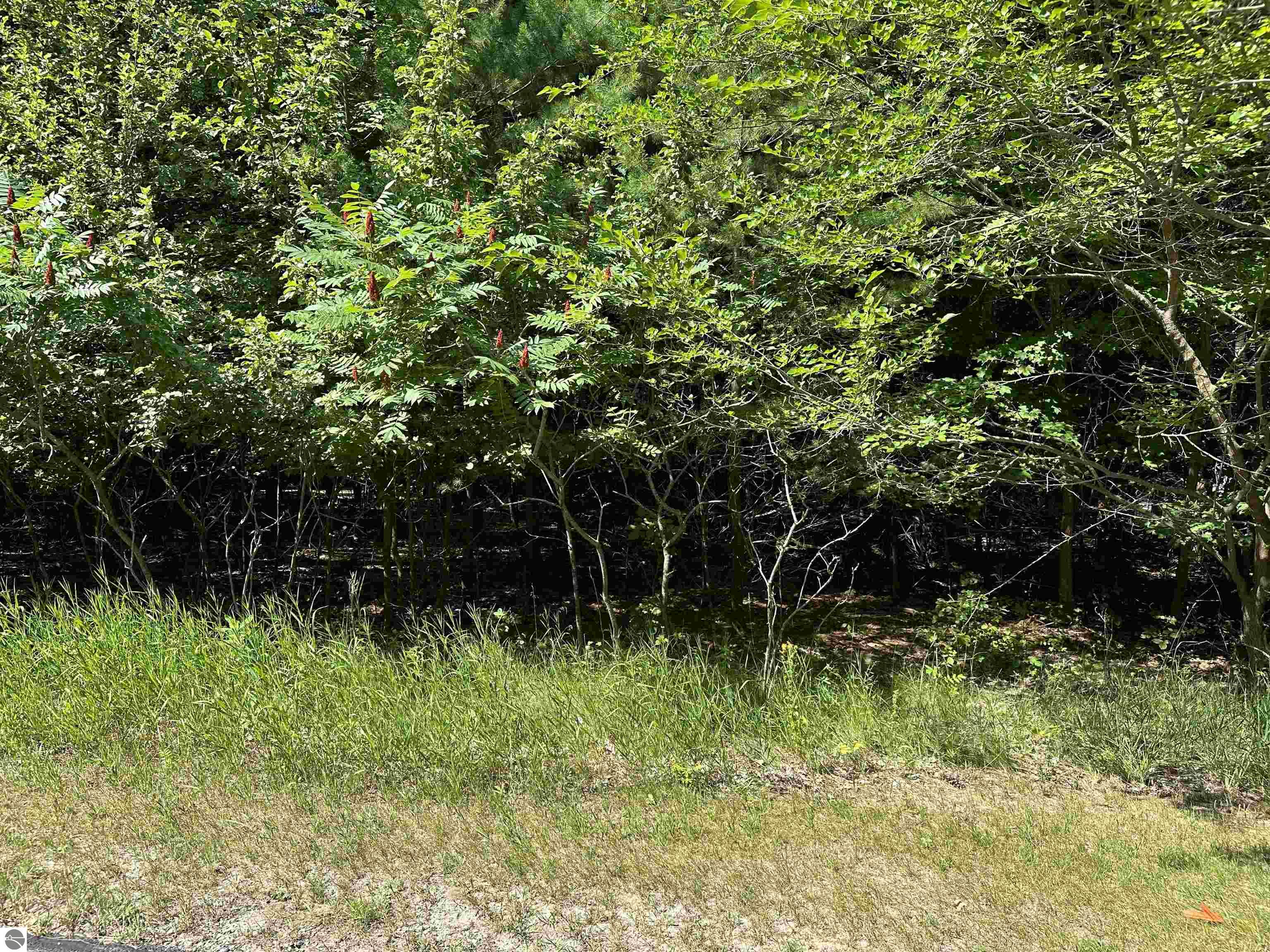 Lot 32 Rose Court