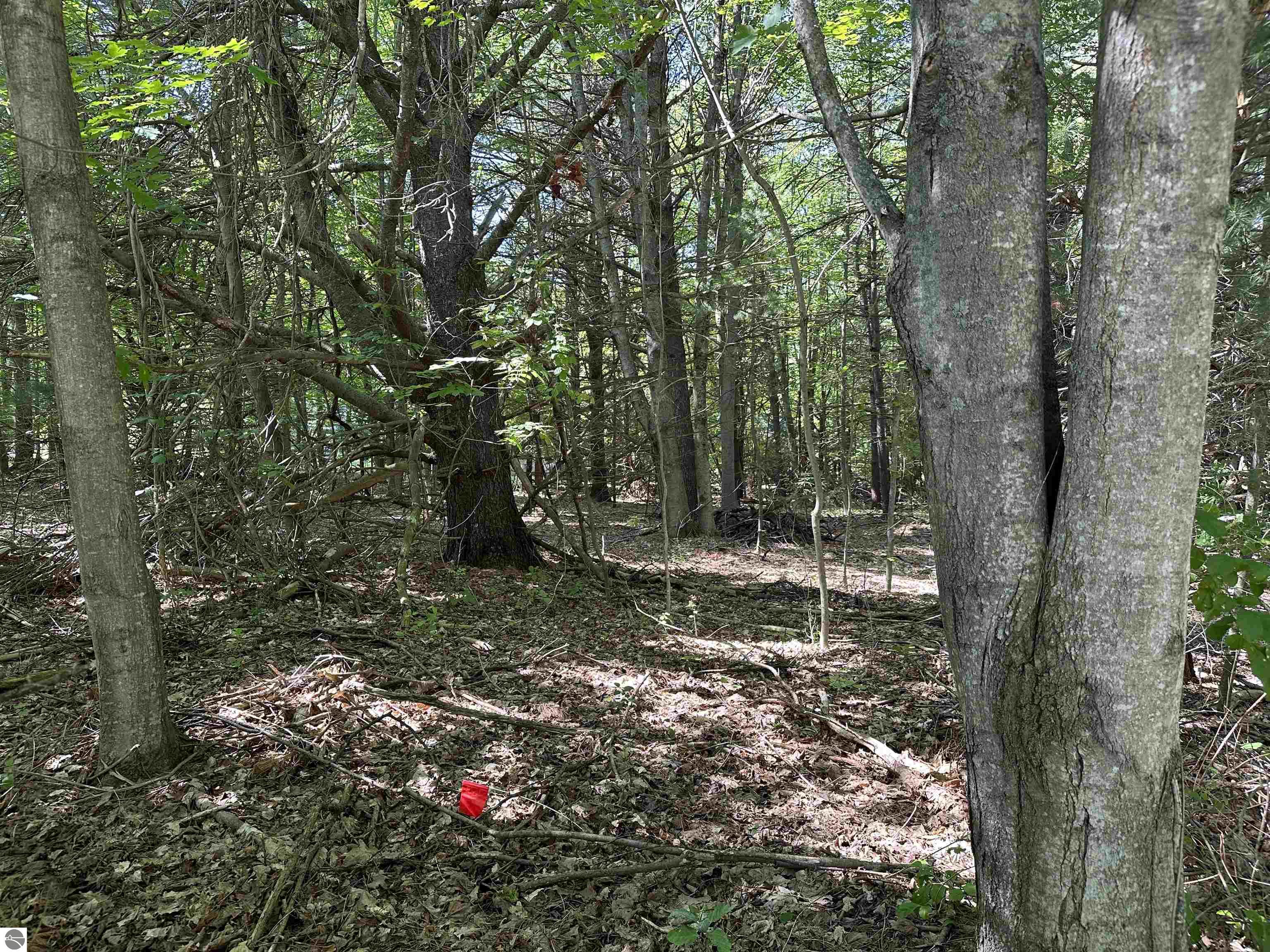 Lot 32 Rose Court