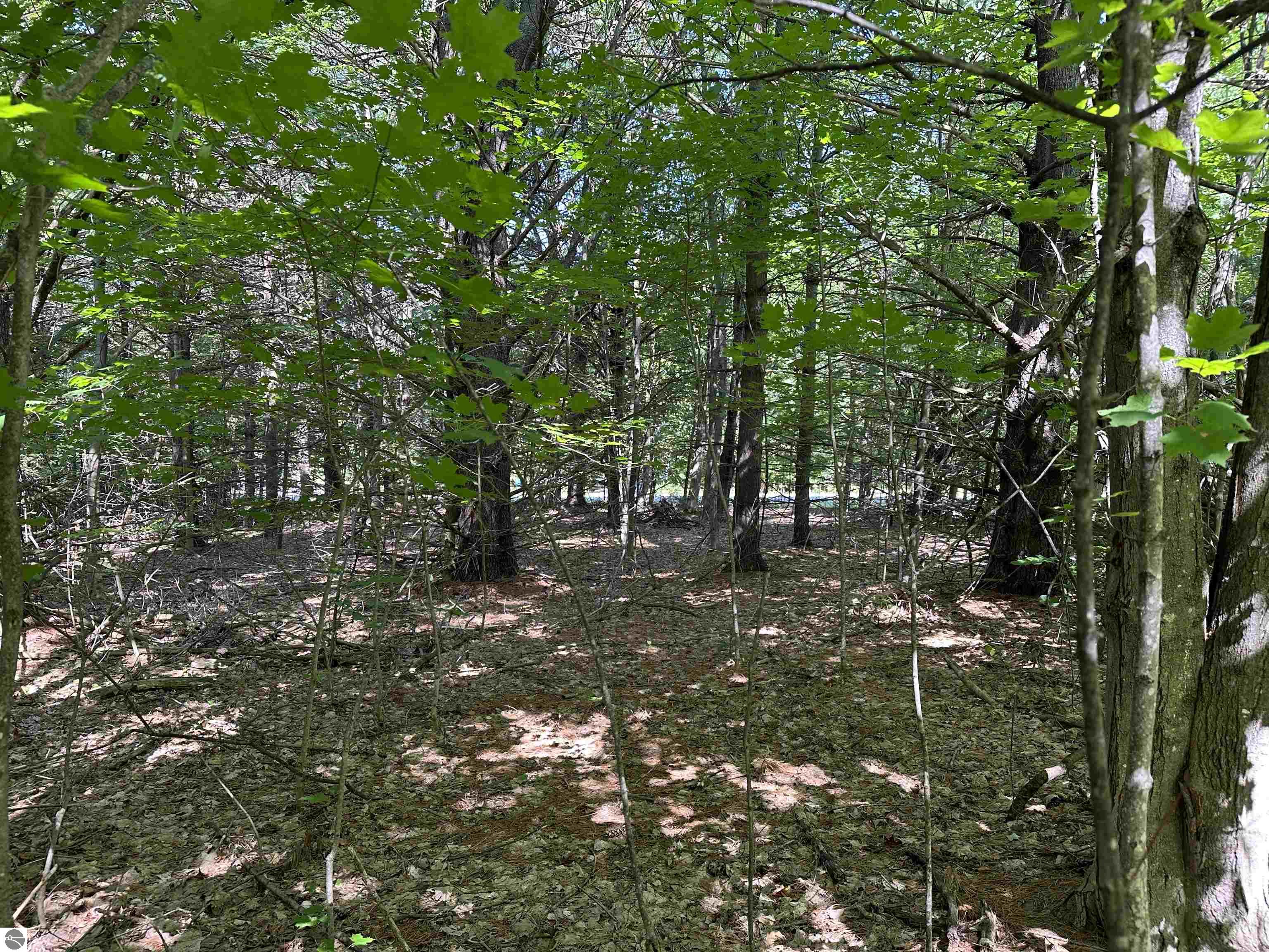 Lot 32 Rose Court