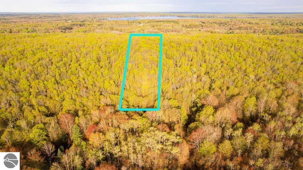 00 Oestman Drive