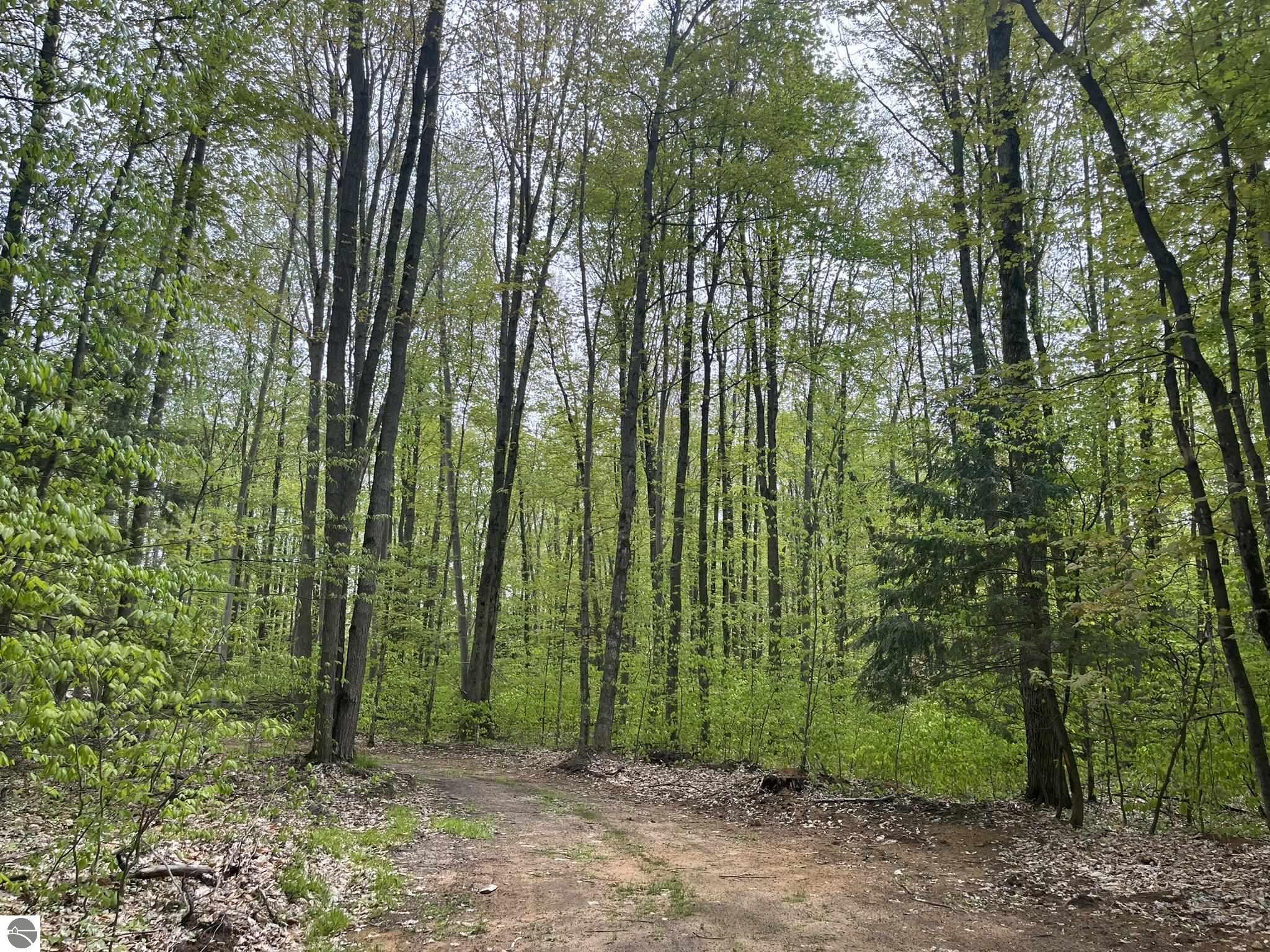 8660 Wilderness Trail
