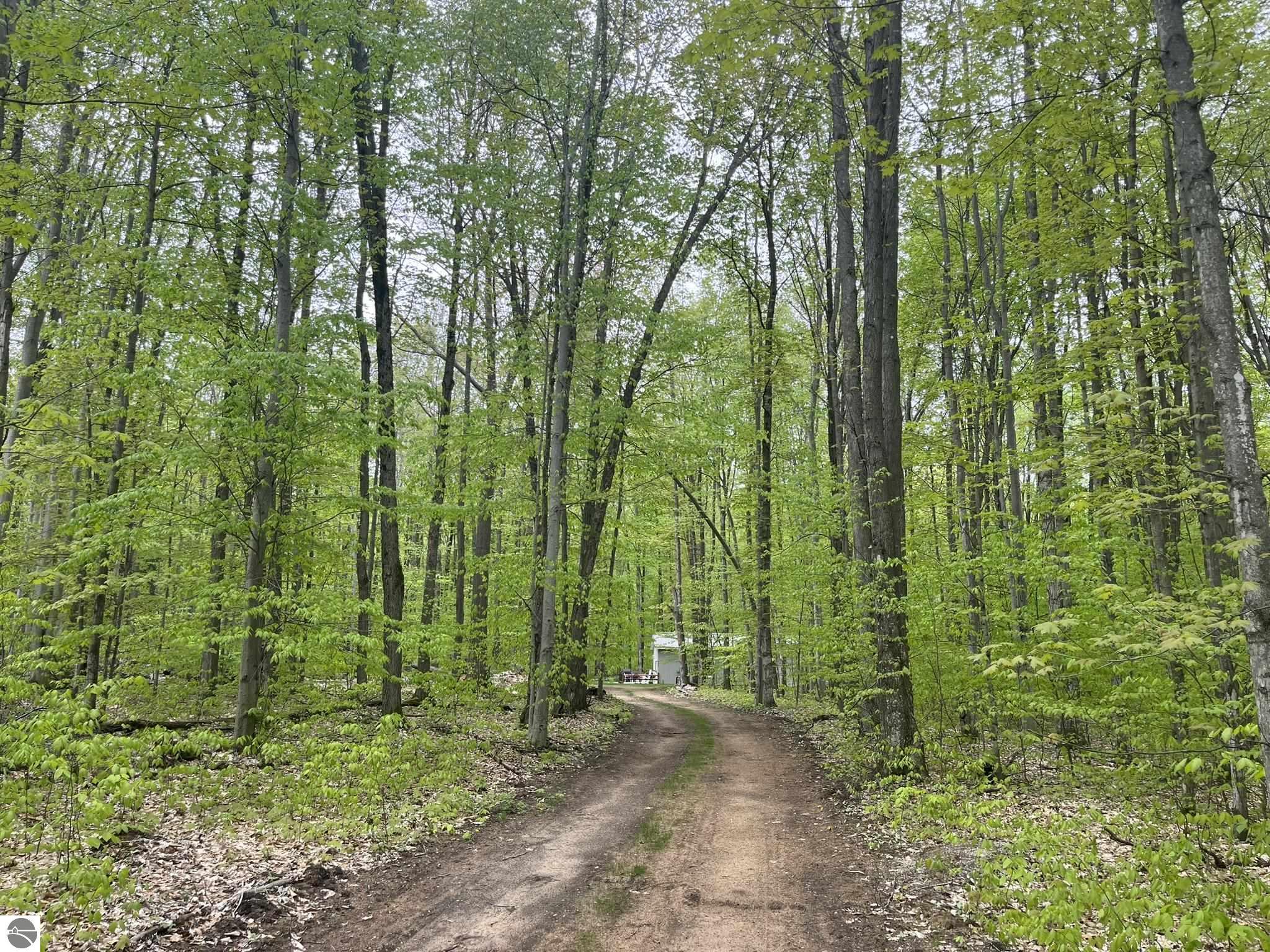 8660 Wilderness Trail