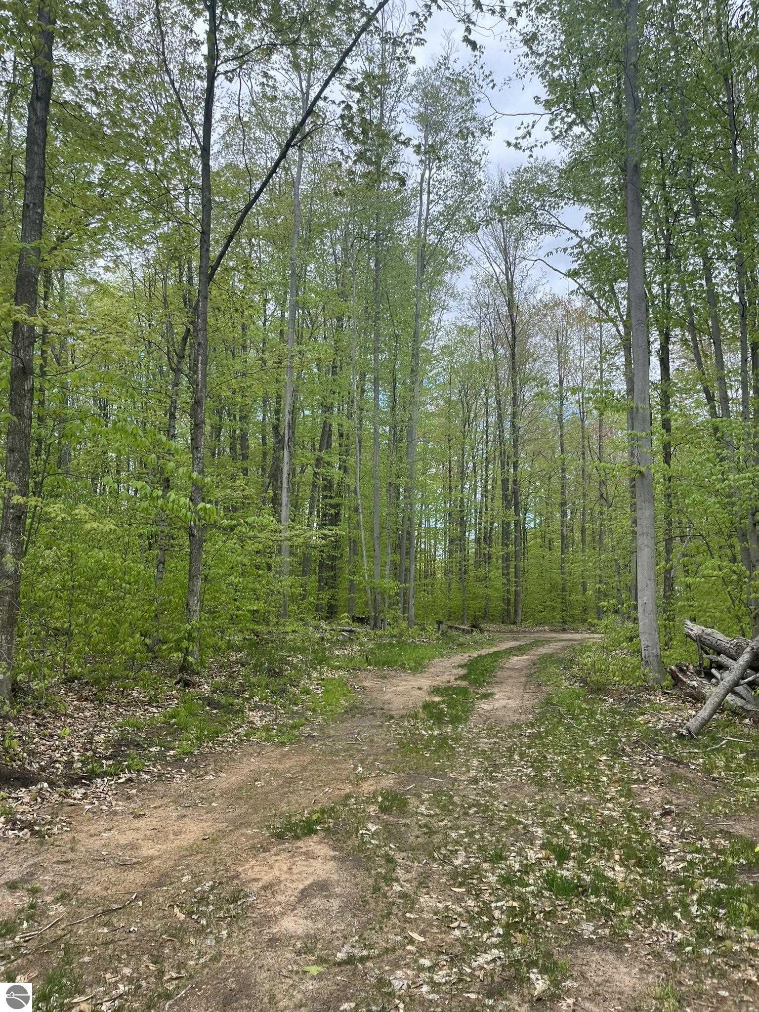 8660 Wilderness Trail