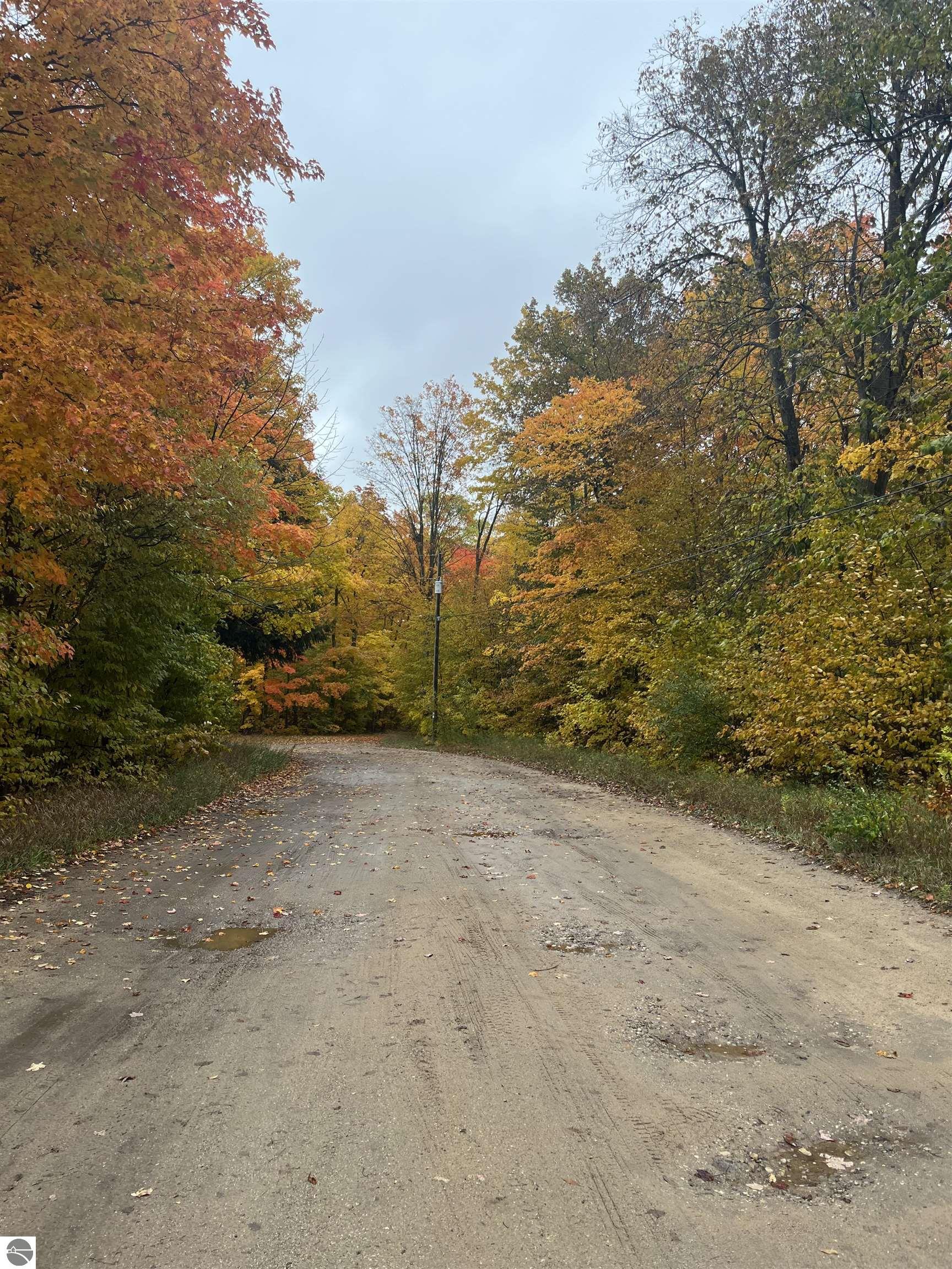 Greenleaf Lane