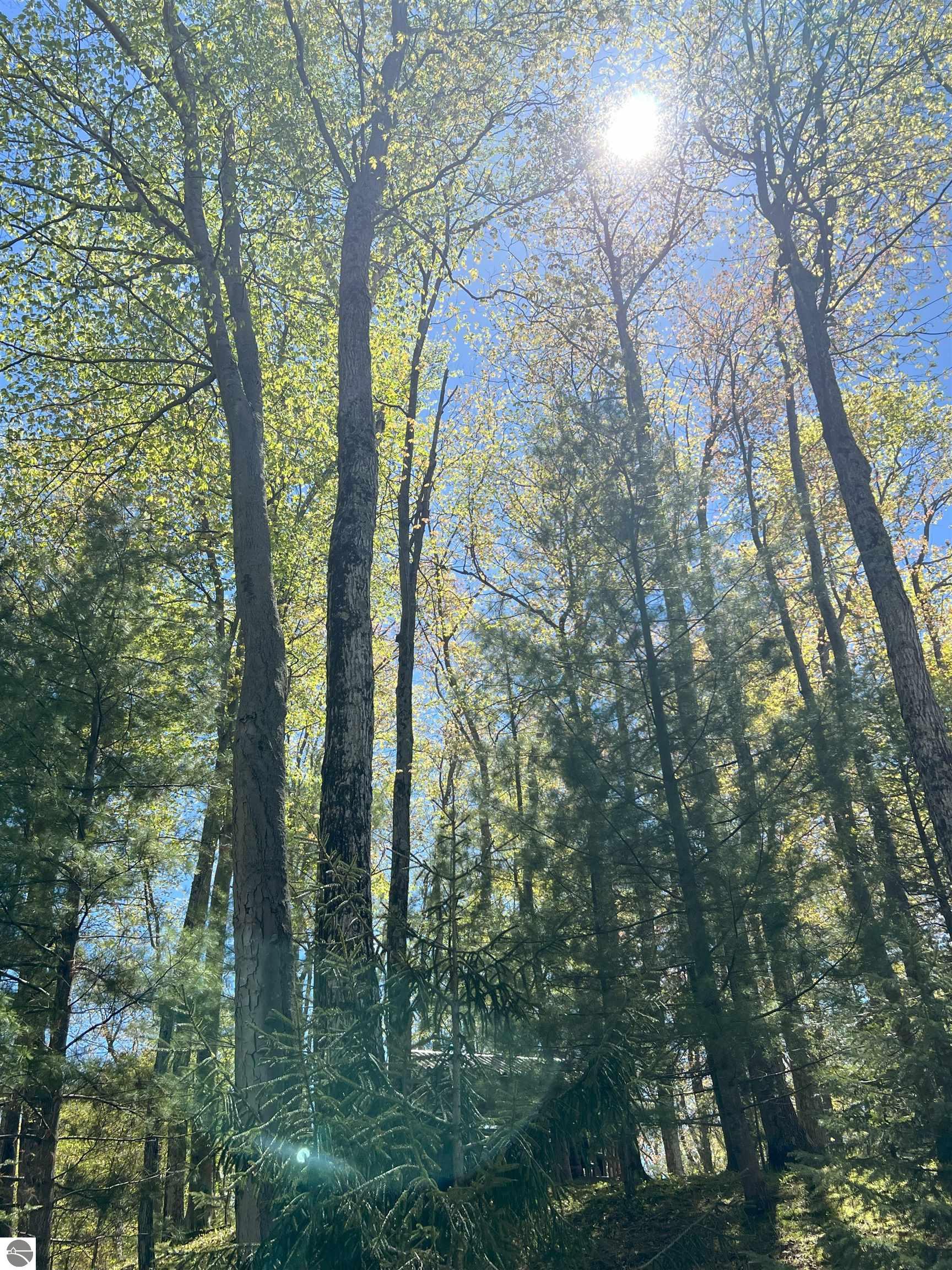 4857 Michigan Trail