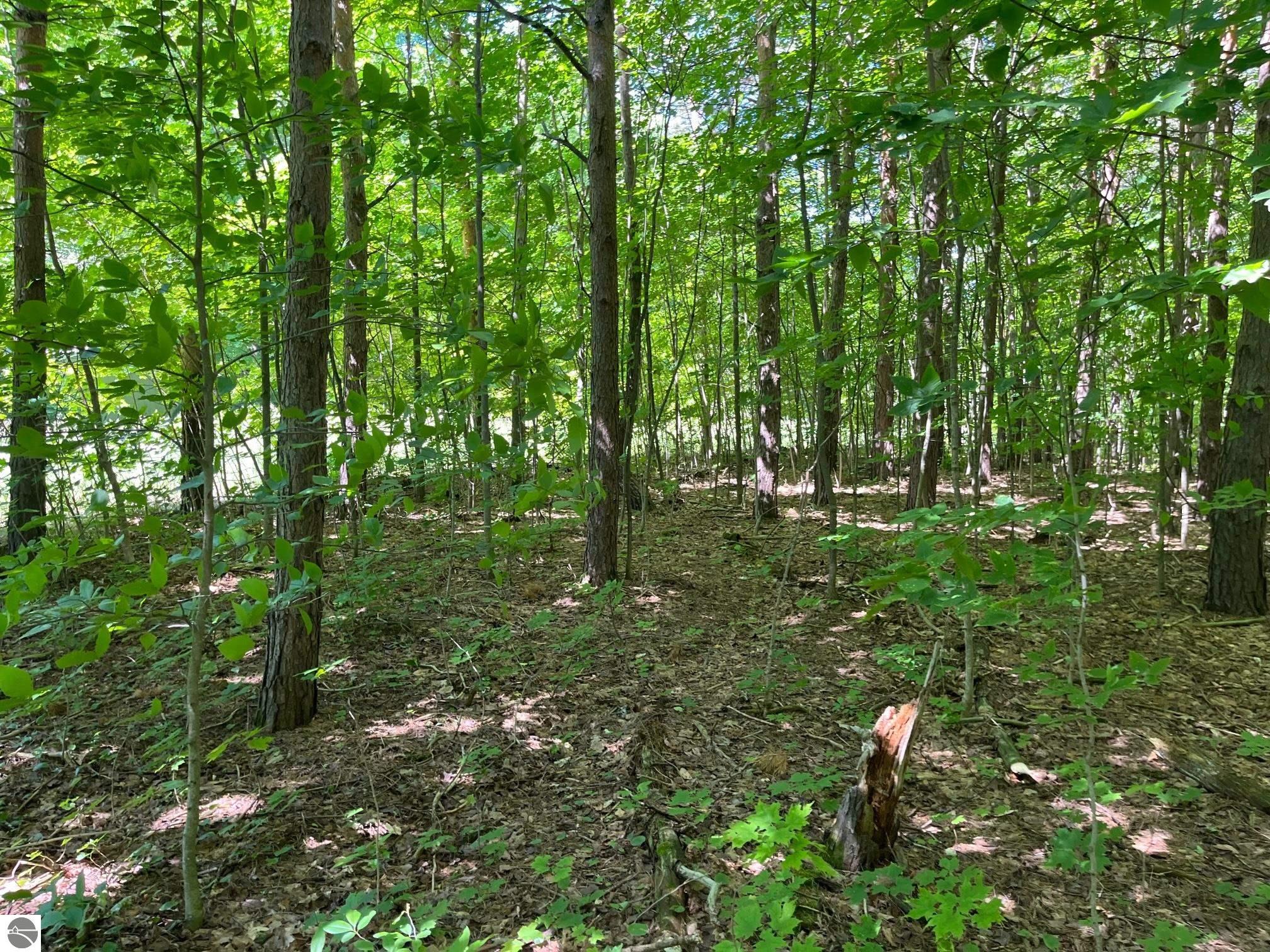 0000 W Beeman Road