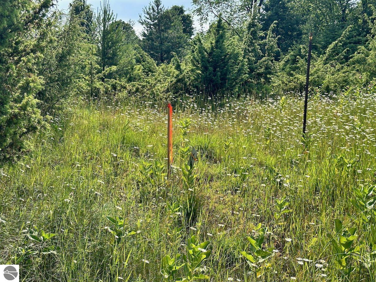 Unit 42 Talon Trace