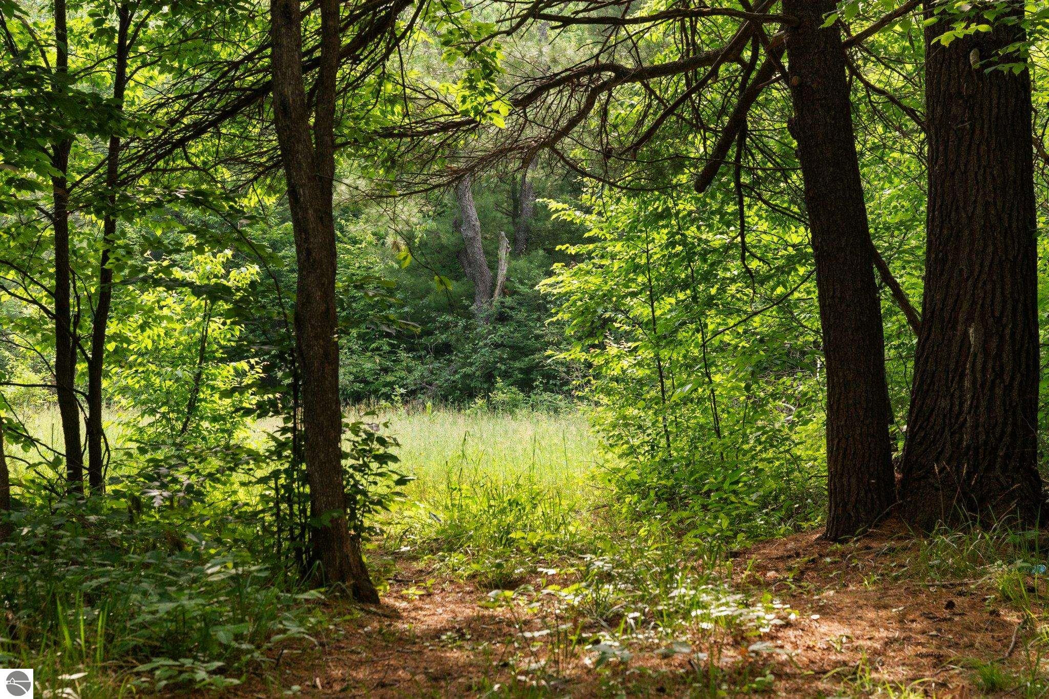 20 acres V/L Doerr Road