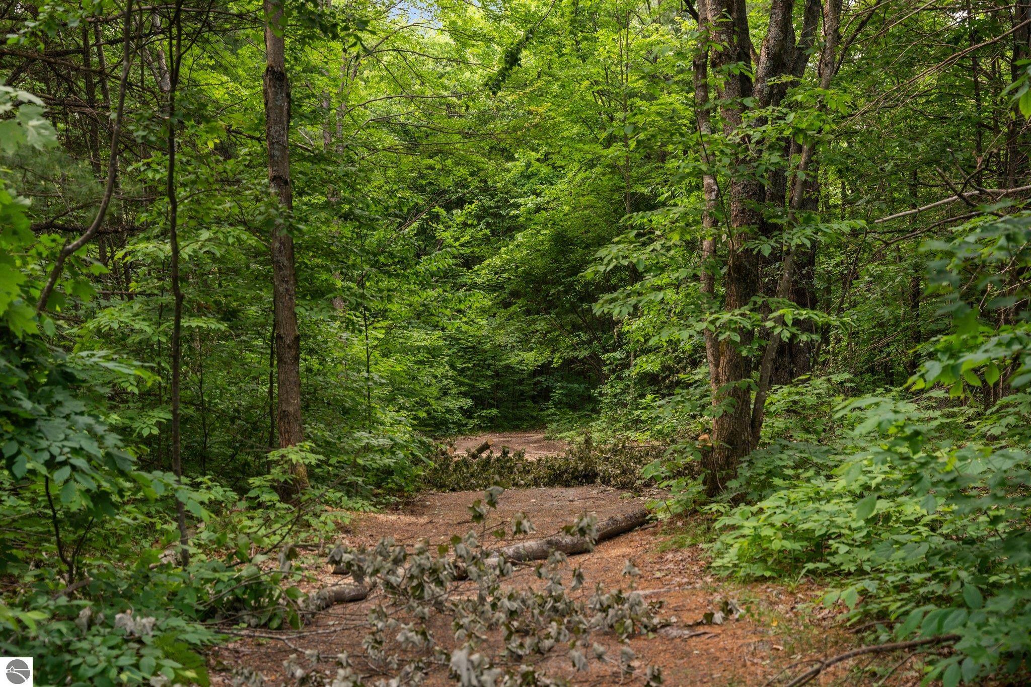 20 acres V/L Doerr Road