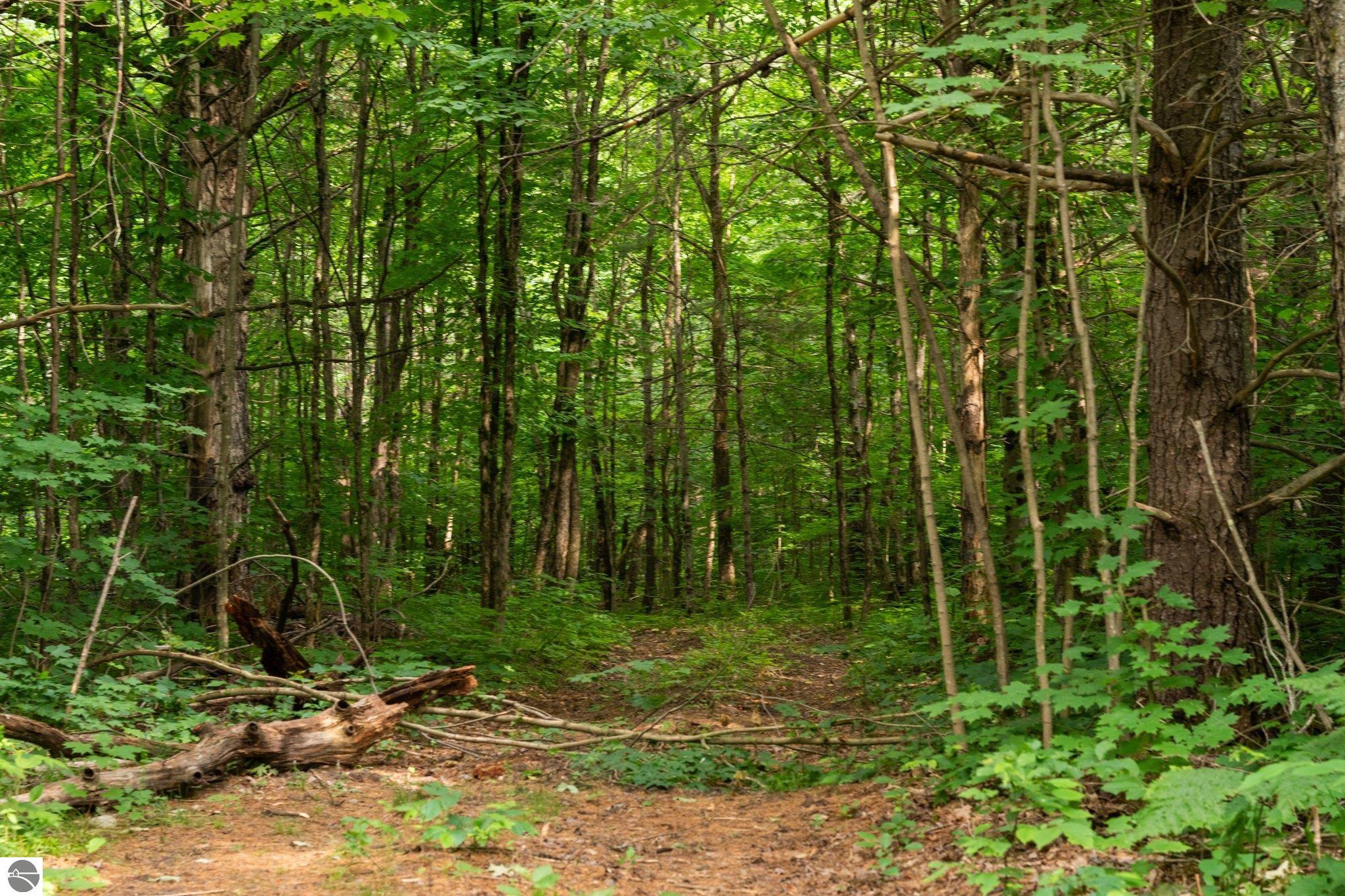 20 acres V/L Doerr Road