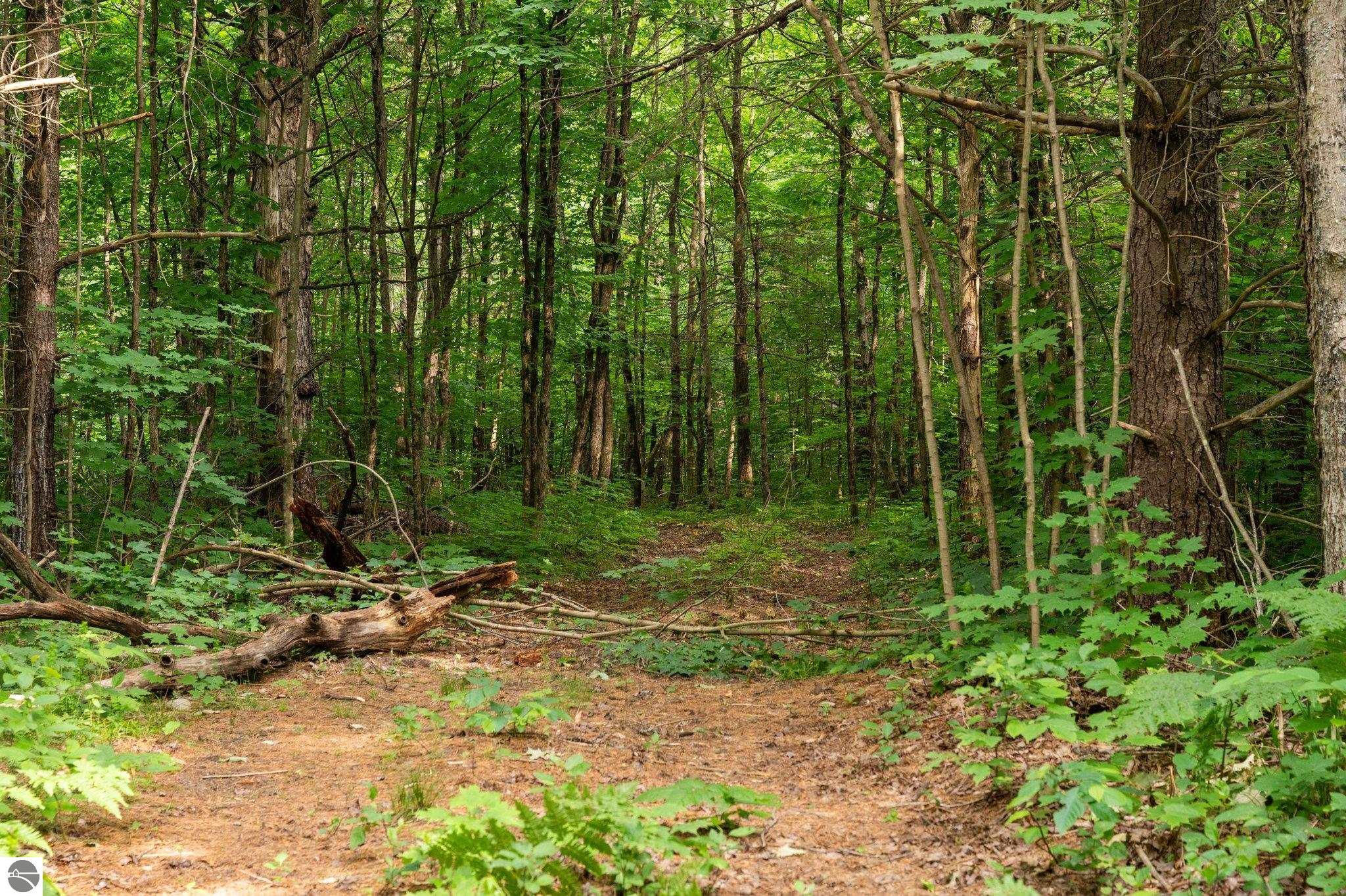 20 acres V/L Doerr Road