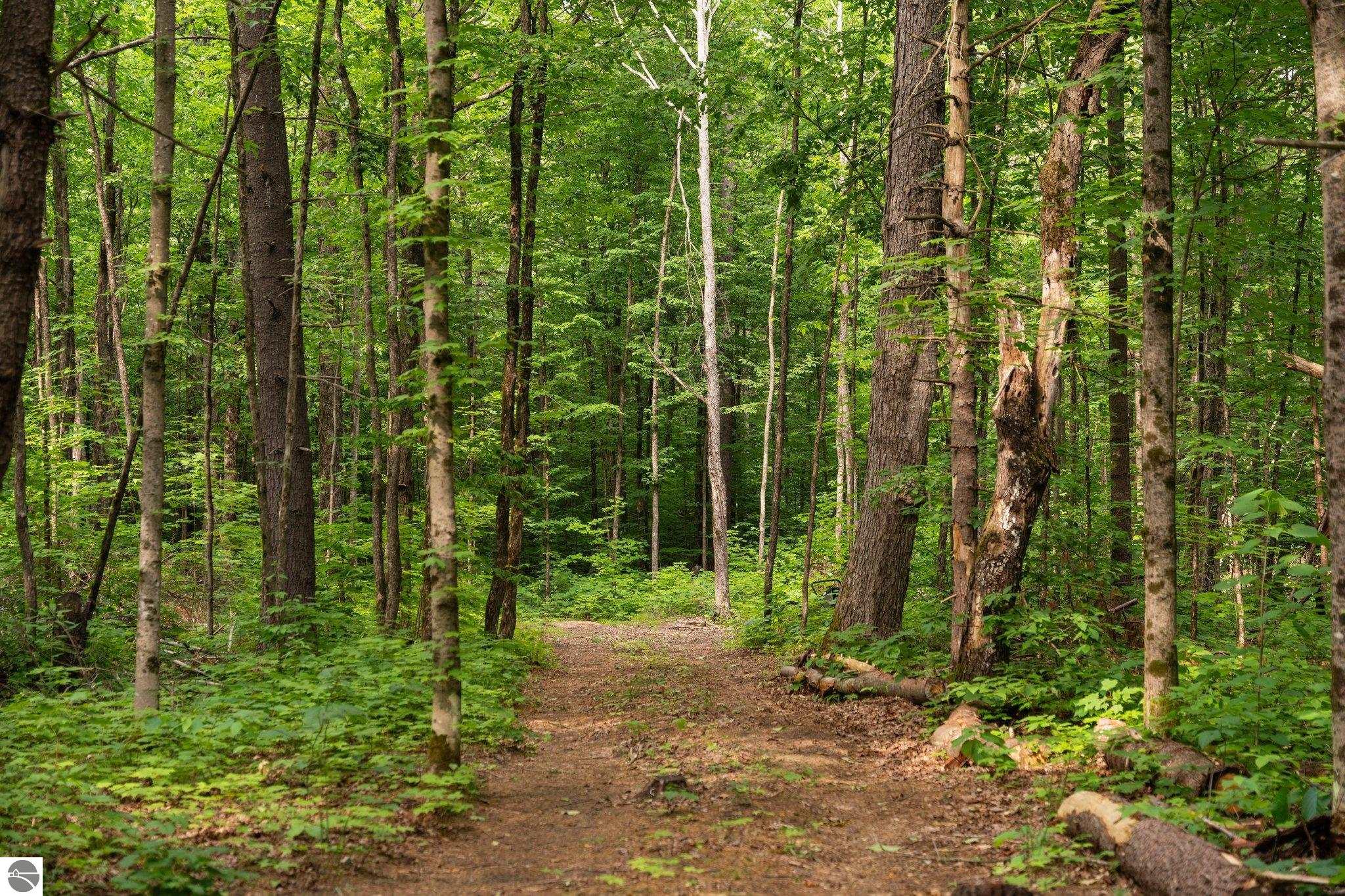 20 acres V/L Doerr Road