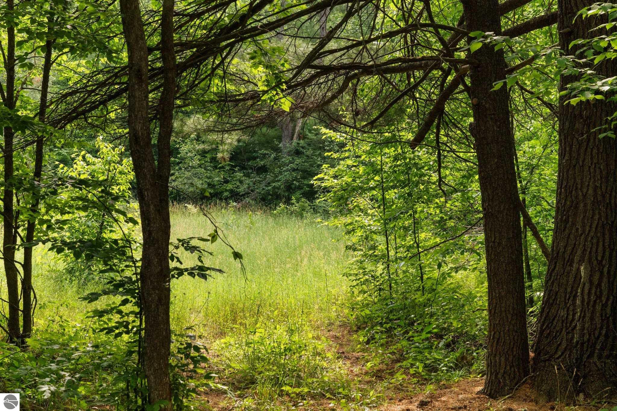 20 acres V/L Doerr Road