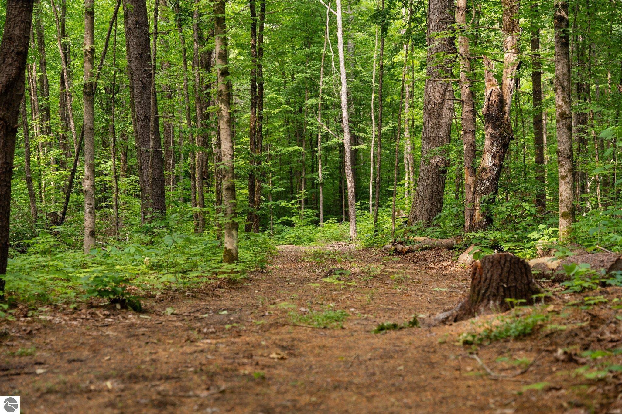 20 acres V/L Doerr Road