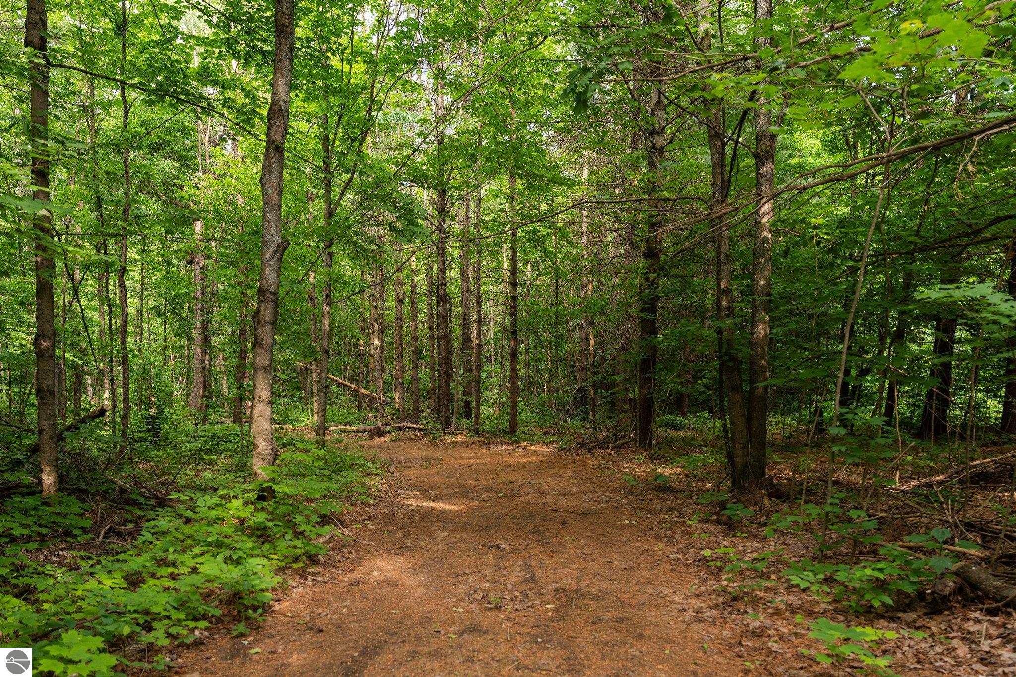 20 acres V/L Doerr Road