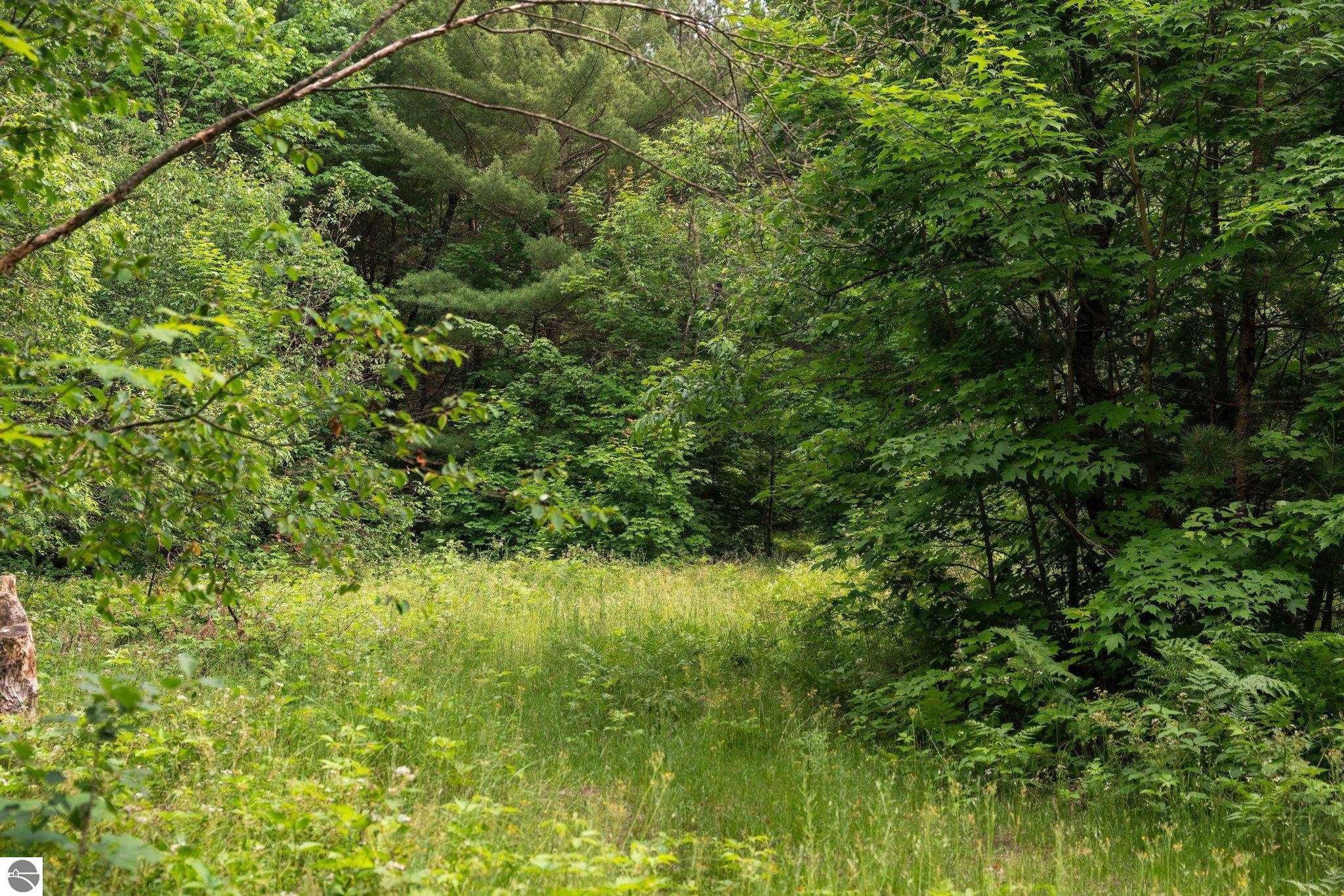 20 acres V/L Doerr Road