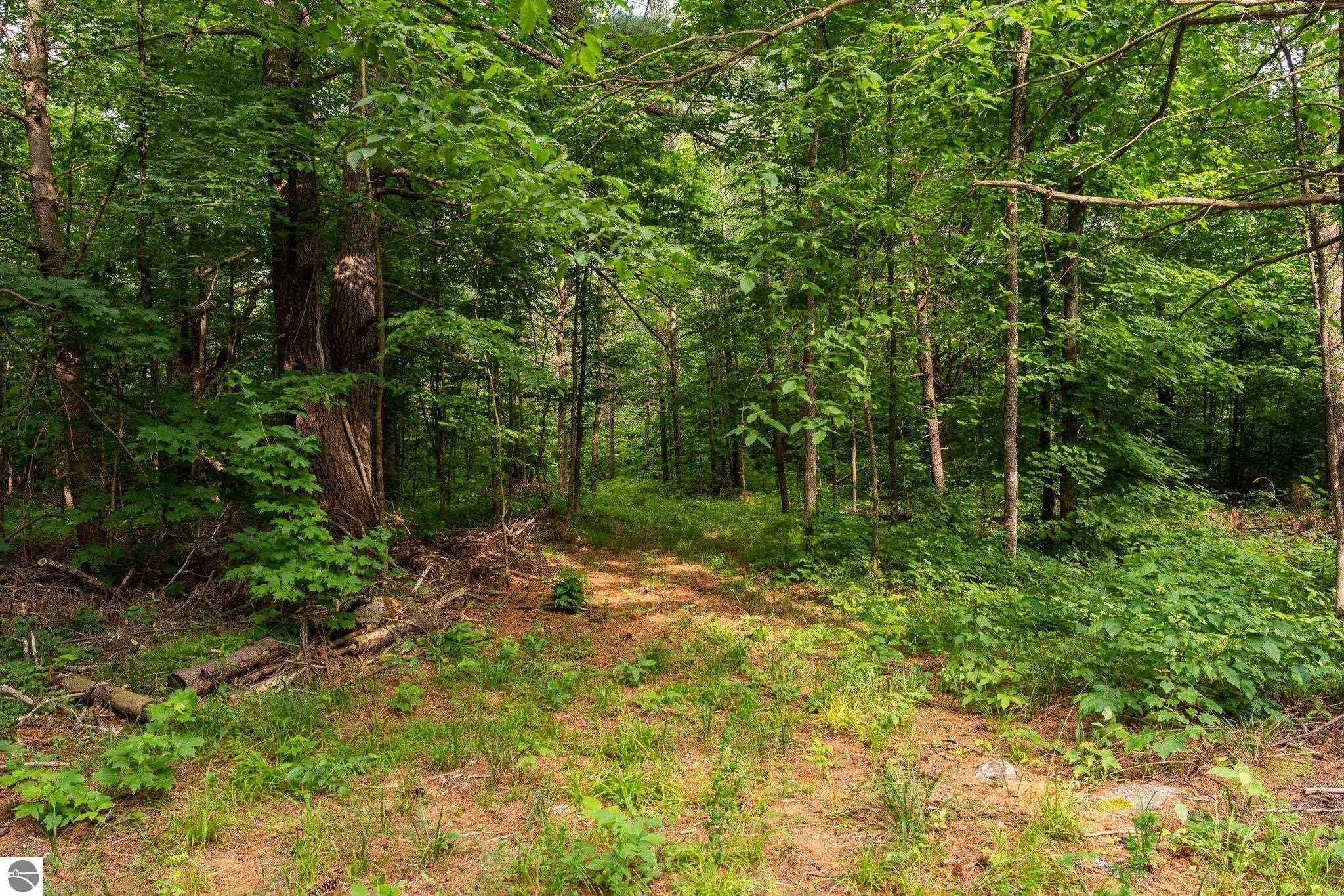20 acres V/L Doerr Road
