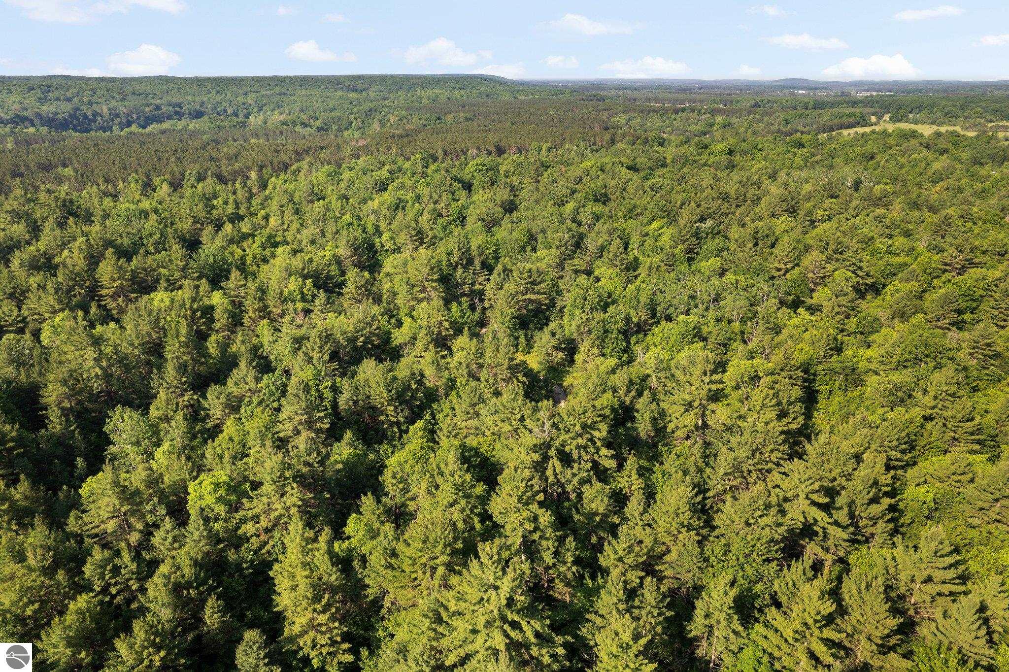 20 acres V/L Doerr Road