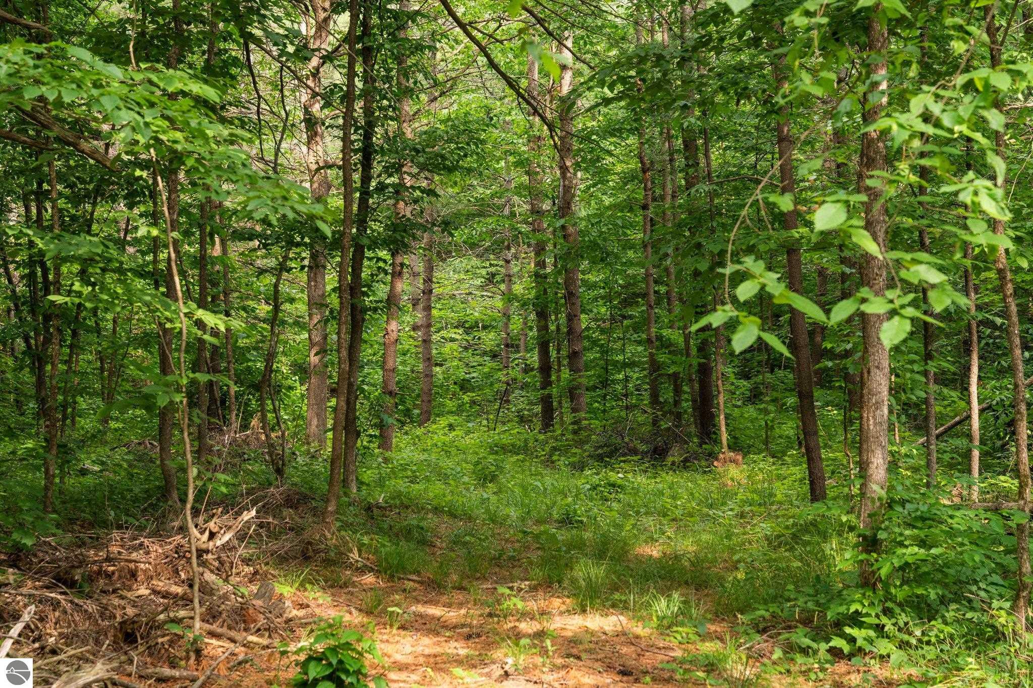 20 acres V/L Doerr Road