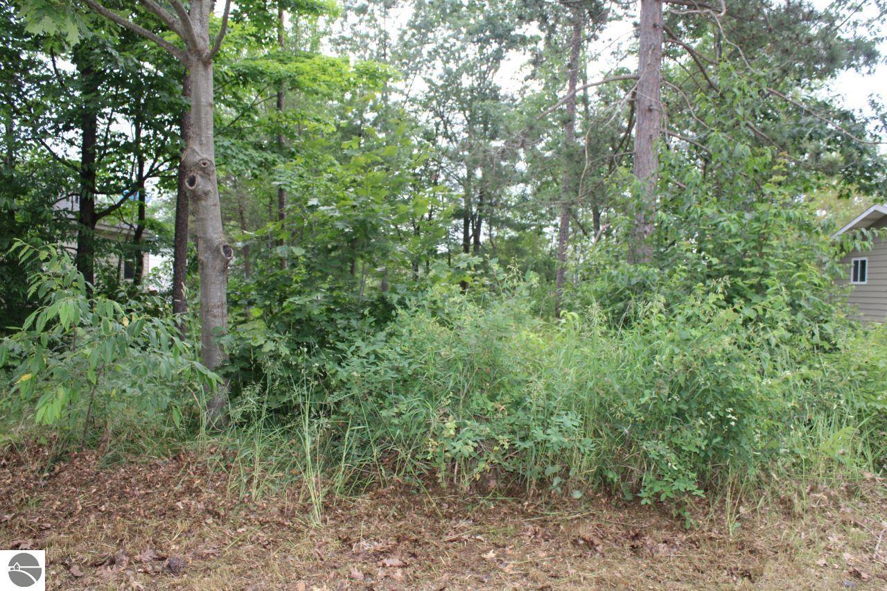603 Paw Paw Street