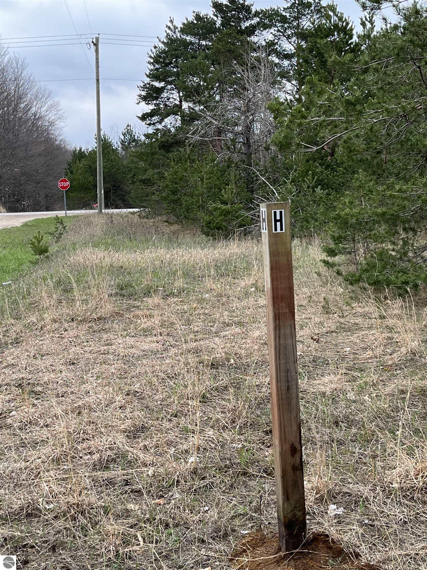 A Bailey Road