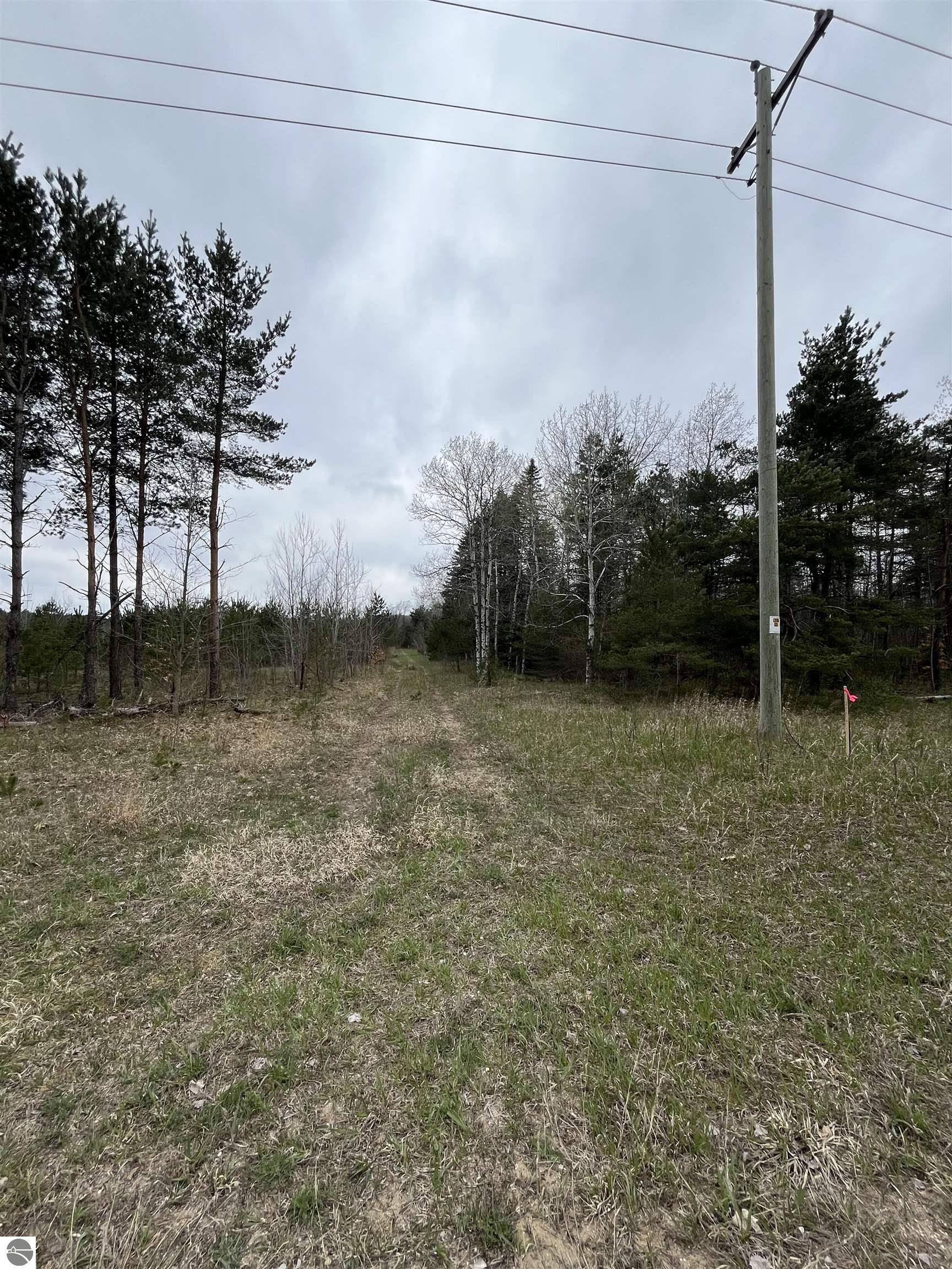A Bailey Road