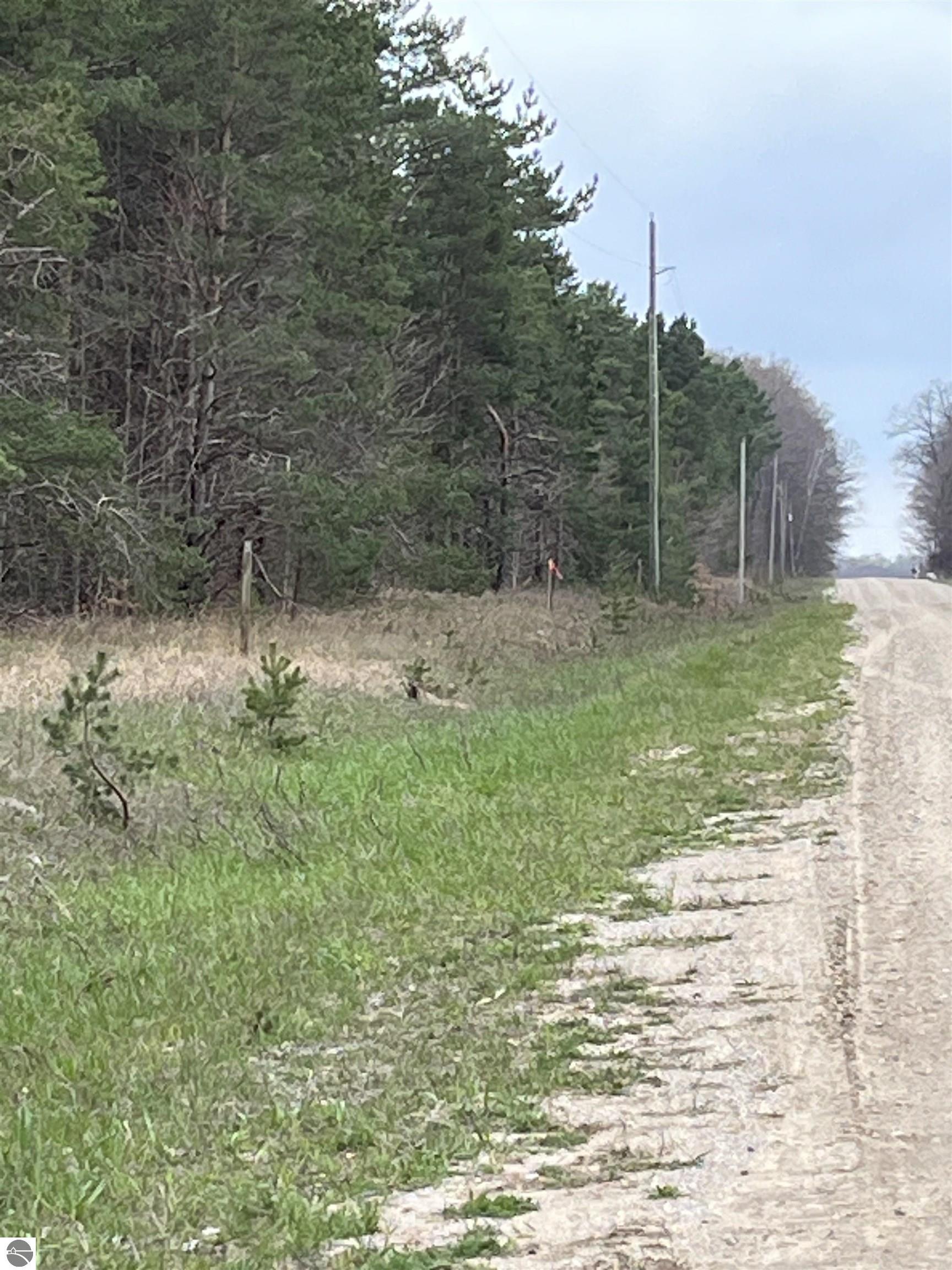 A Bailey Road