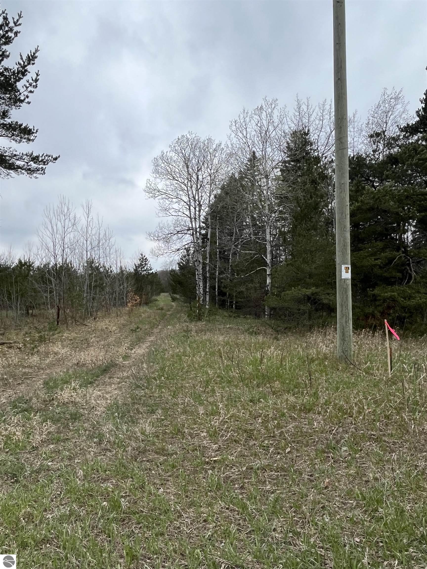 A Bailey Road