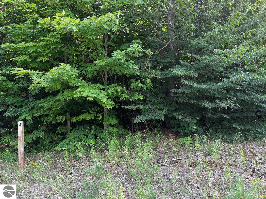 D Tremblay Road