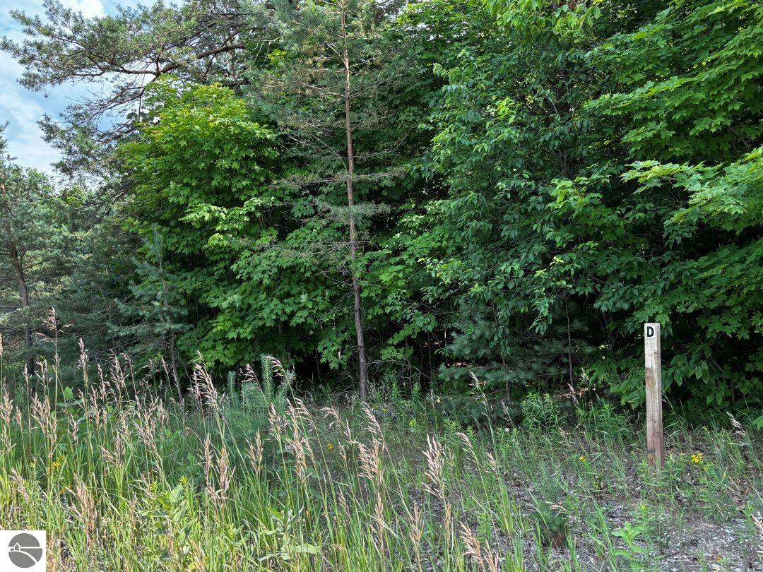 D Tremblay Road