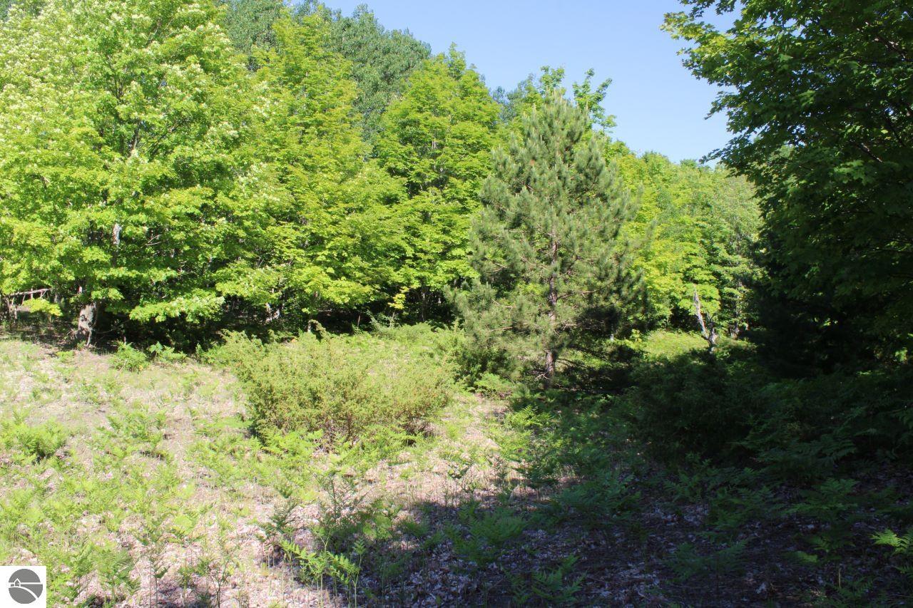 001 Griffin Road
