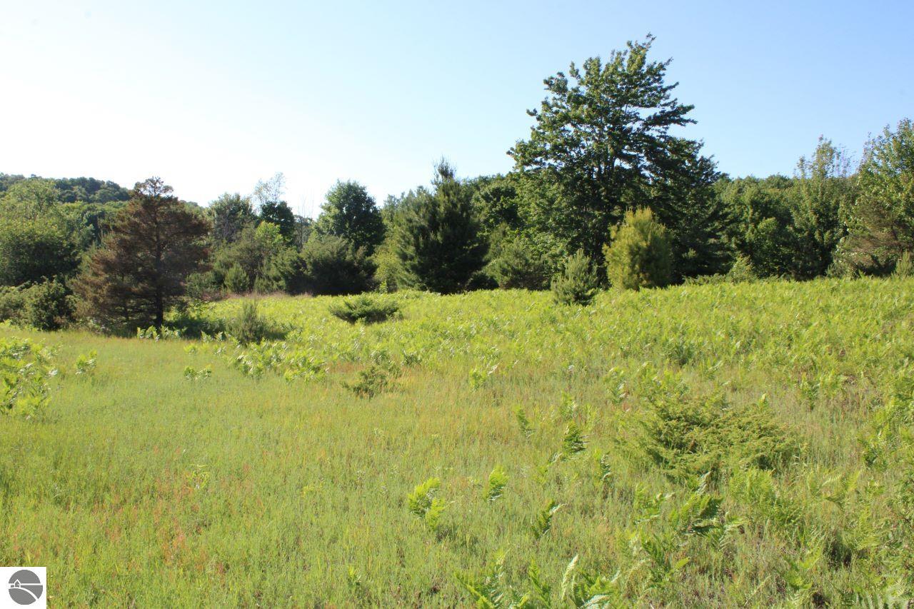 001 Griffin Road